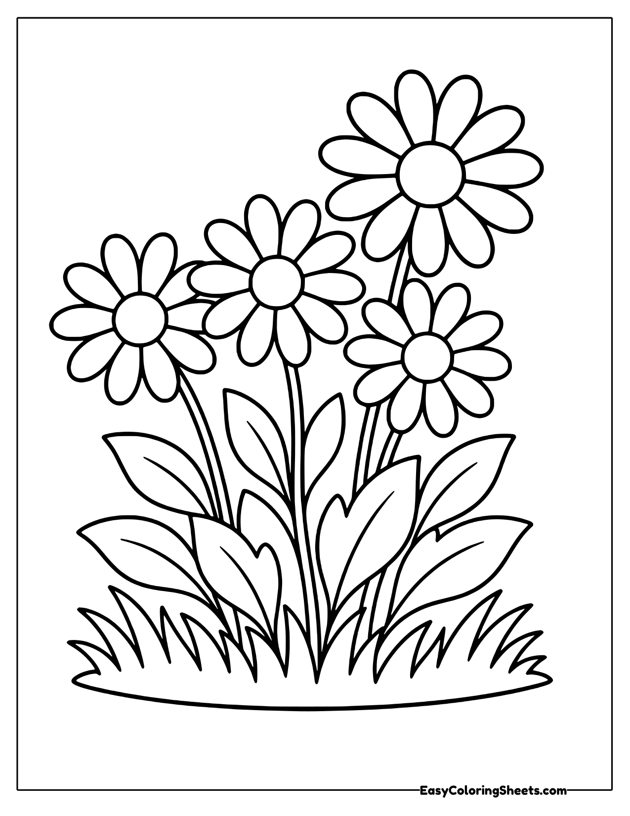 Patch of four daisies