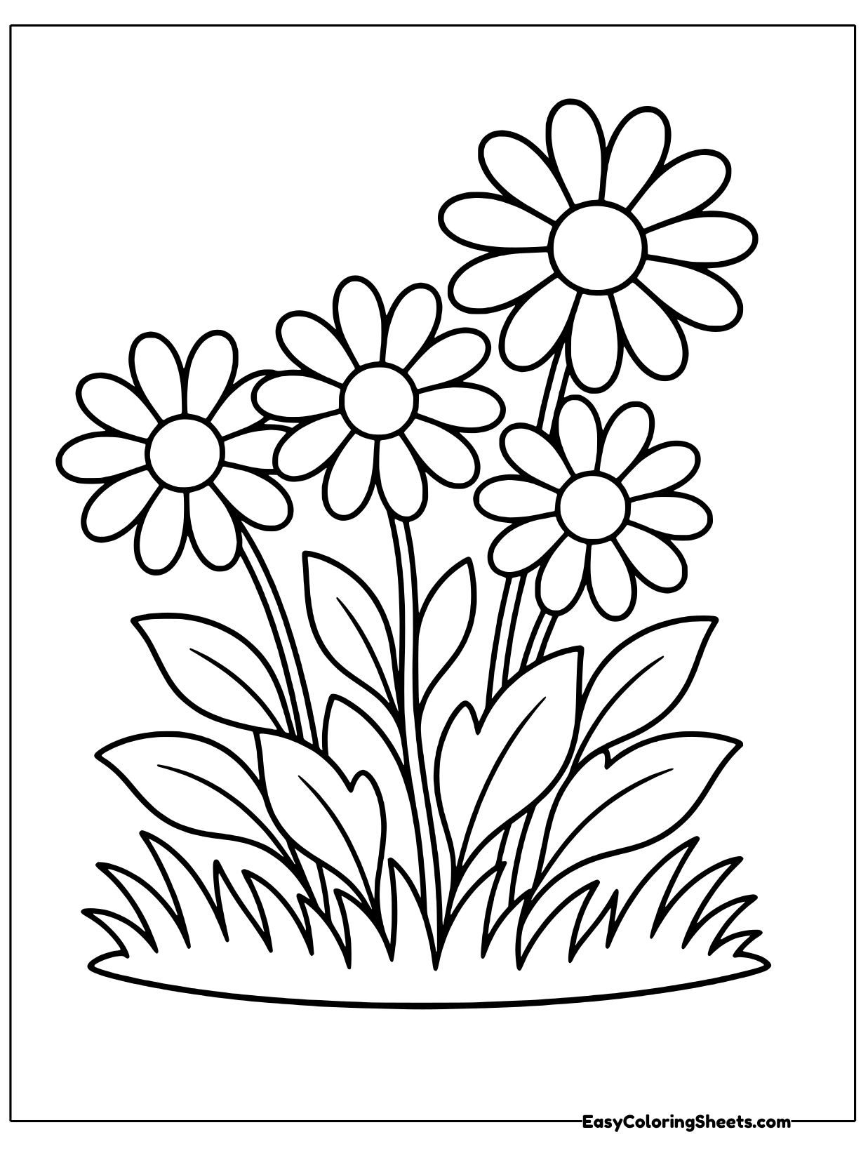 Four daisies bloom together in a garden patch with broad leaves and tall grass.