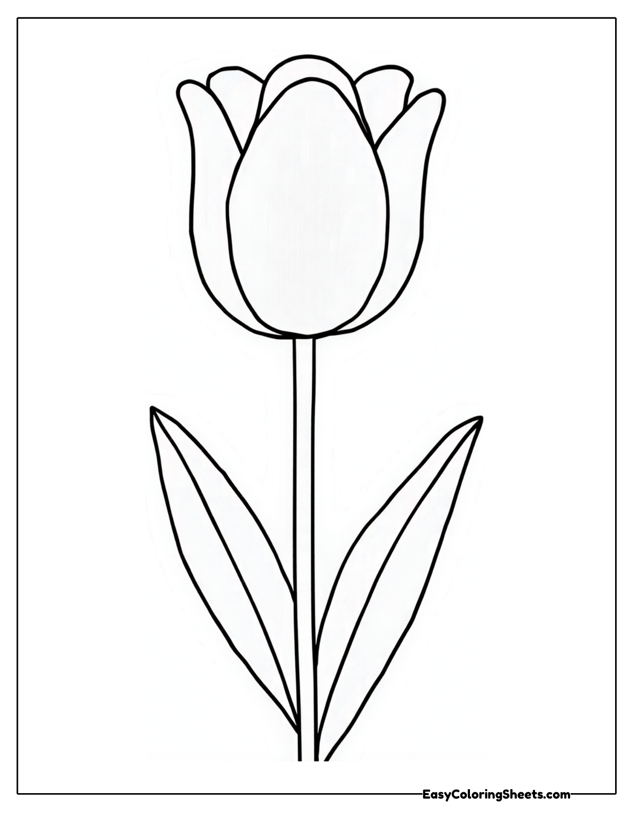 Single tulip with long pointed leaves