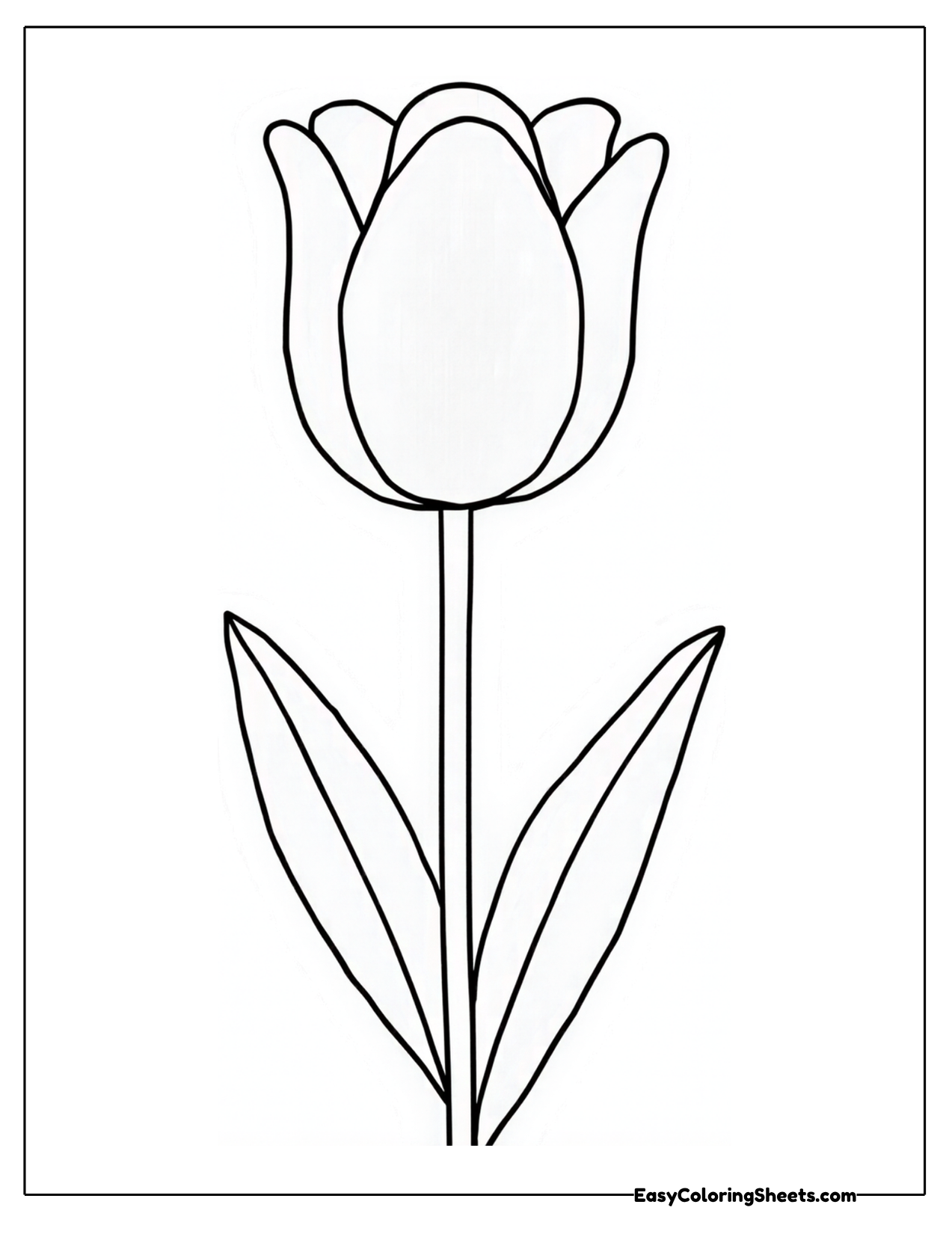 Single tulip with long pointed leaves