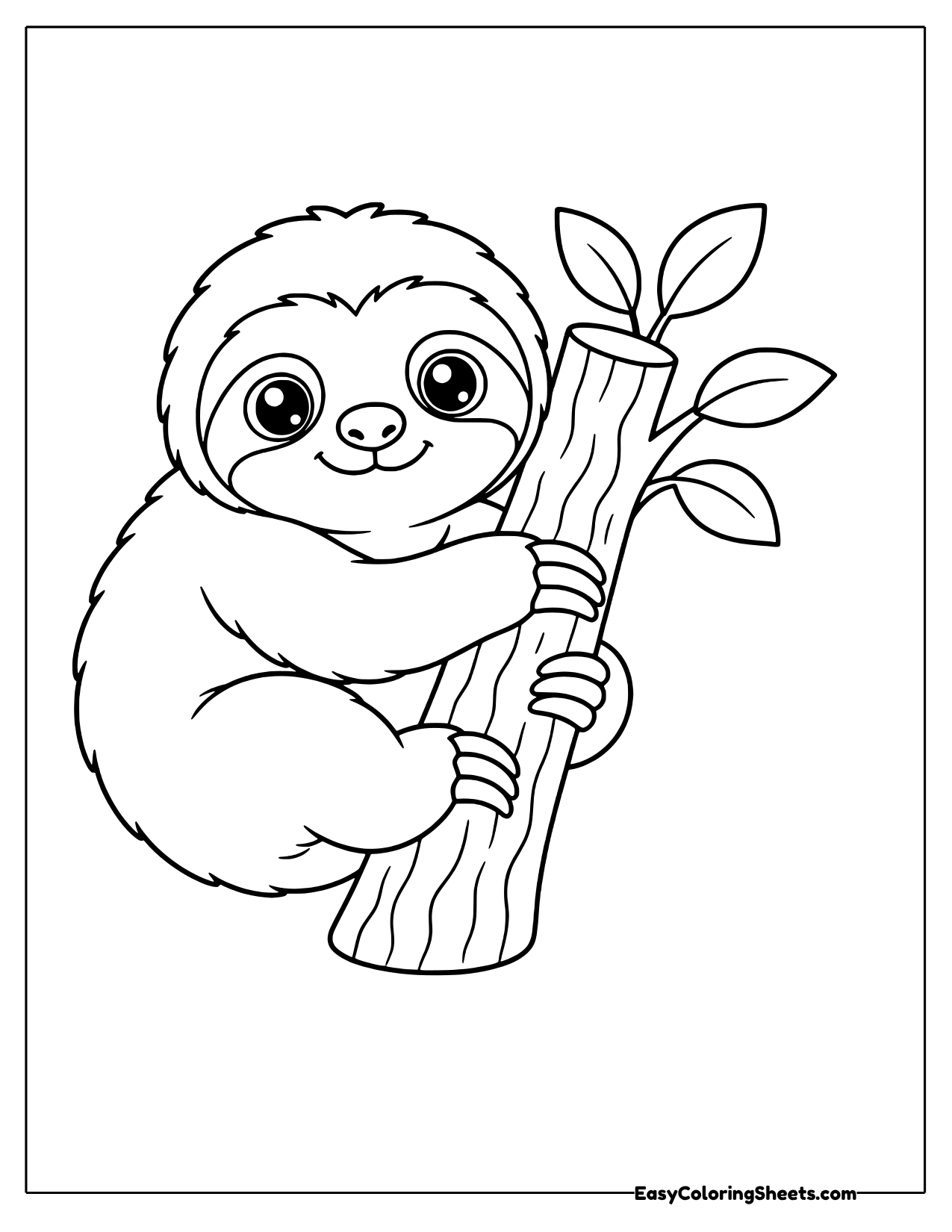 Baby sloth clinging to a tree branch