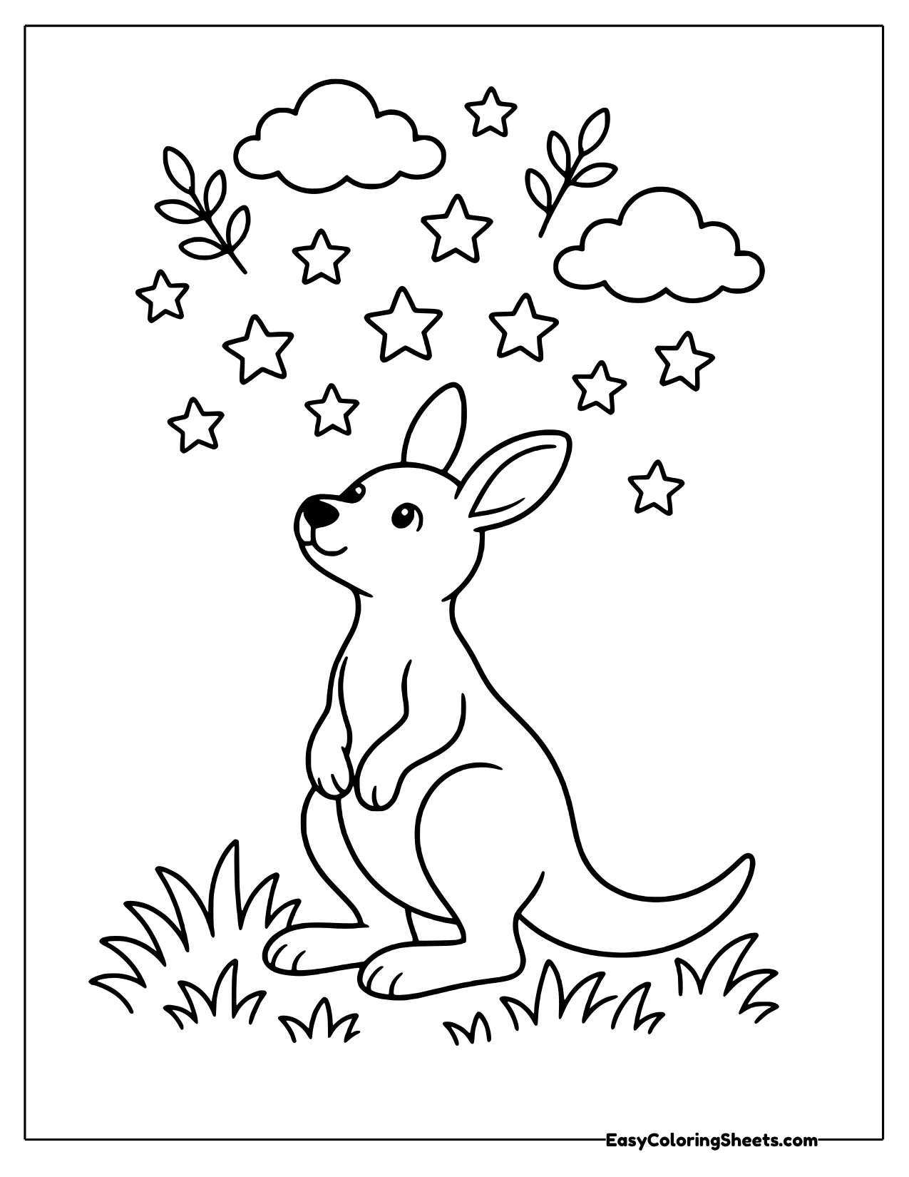 Kangaroo gazing up at a sky full of stars