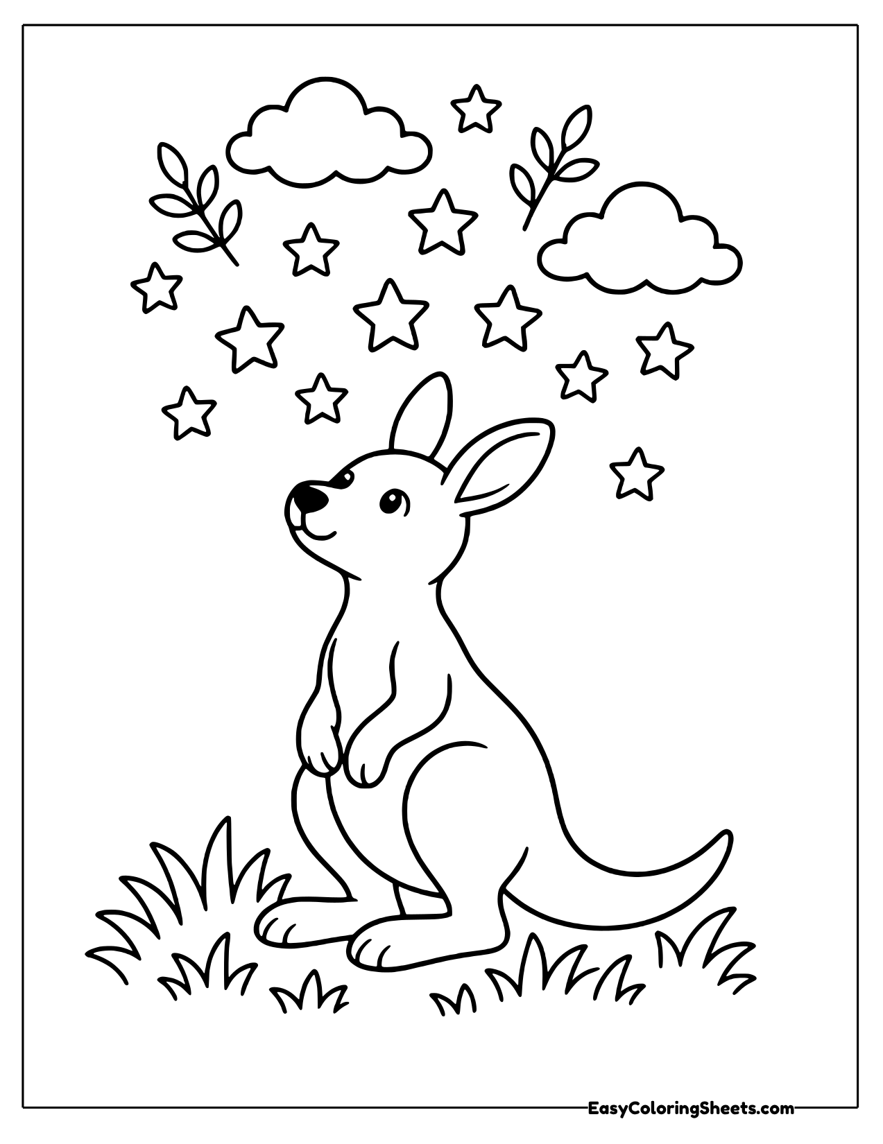 Kangaroo gazing up at a sky full of stars