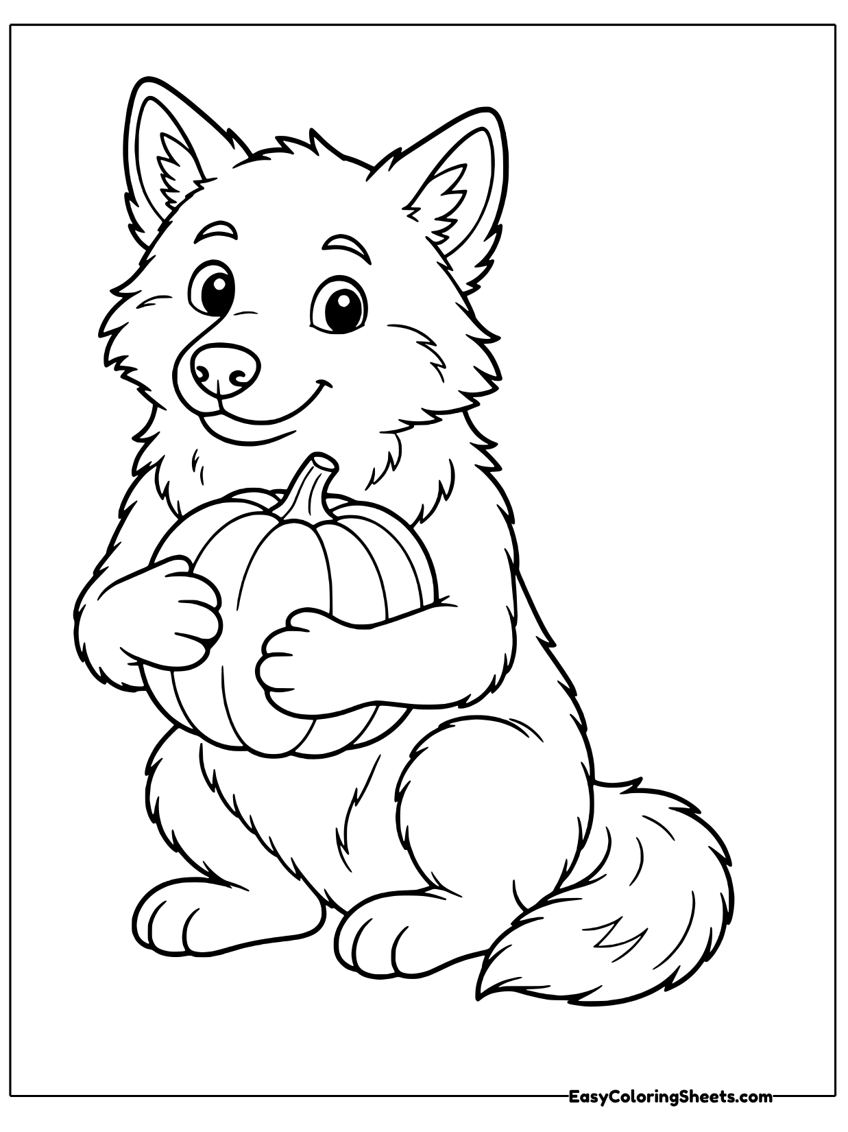 A fluffy wolf sits holding a small pumpkin.