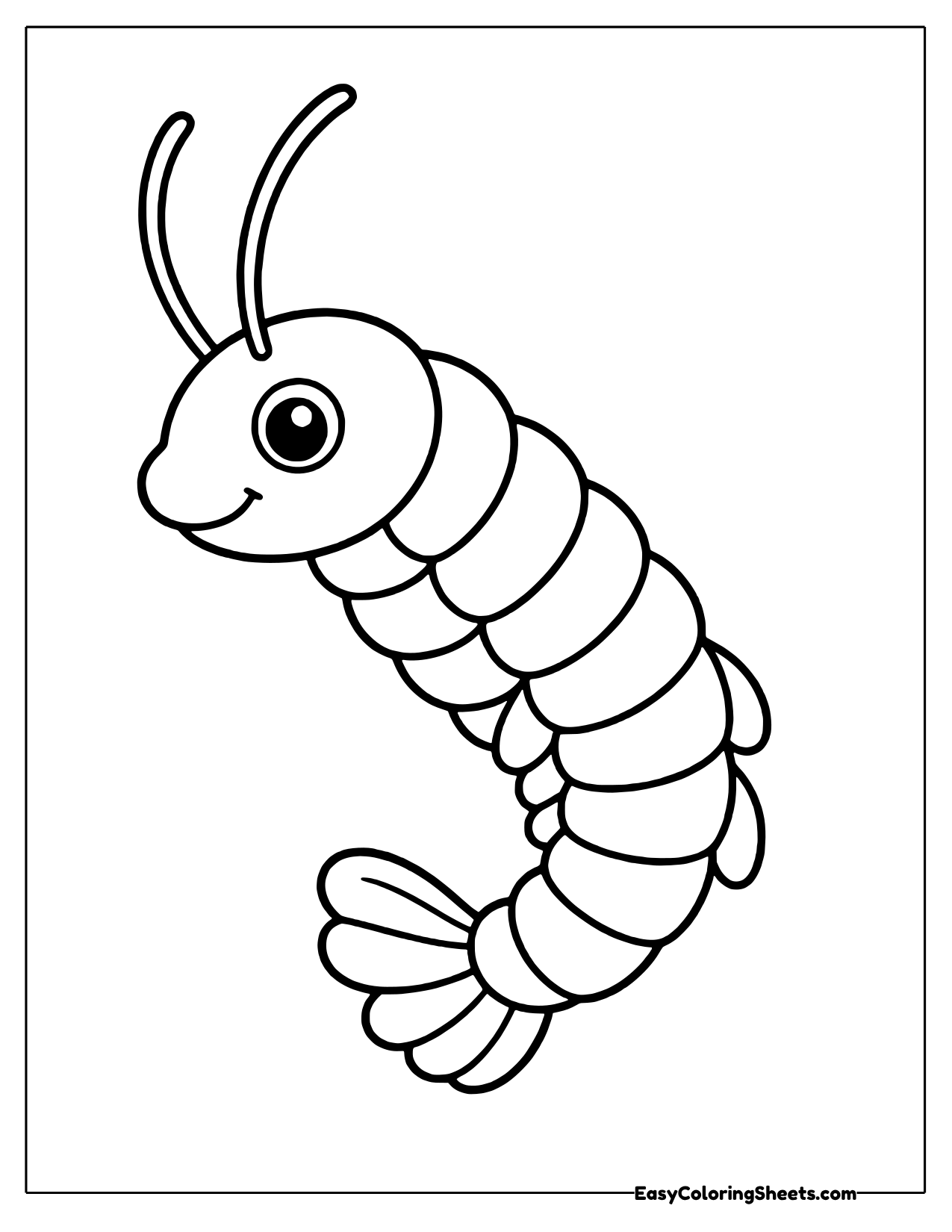 Curled shrimp with long antennae and a fan tail
