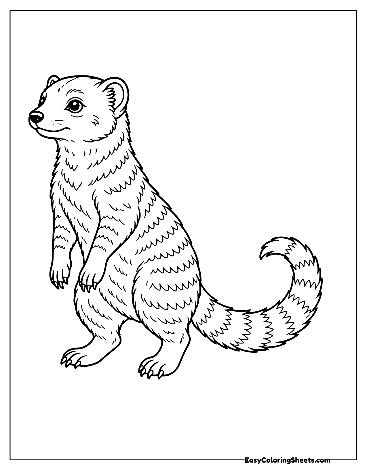 Banded mongoose standing on lookout