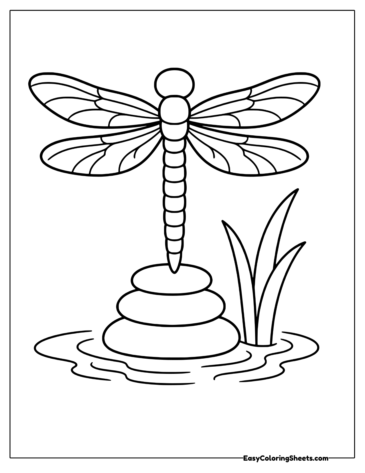 Dragonfly hovering over a pebble stack