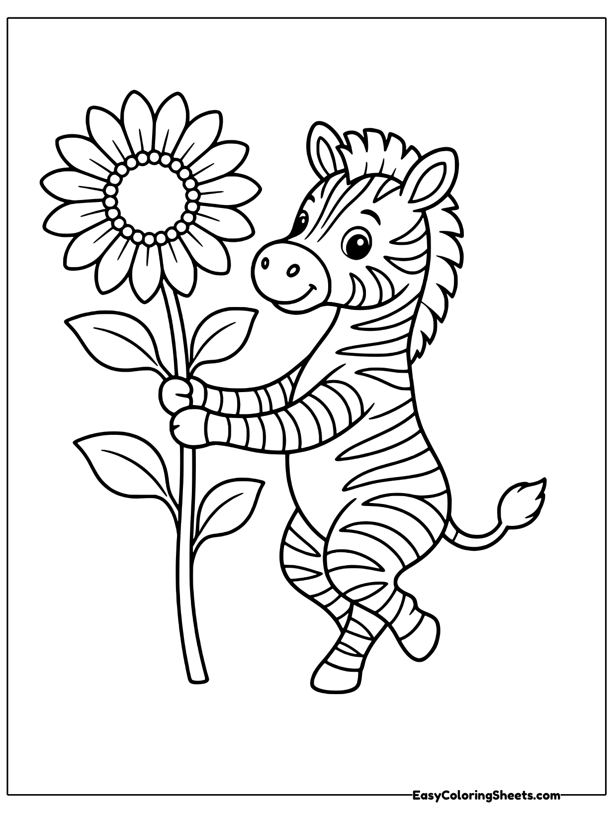 A playful zebra stands on its back legs and wraps its front legs around the stem of a giant sunflower that towers above its.