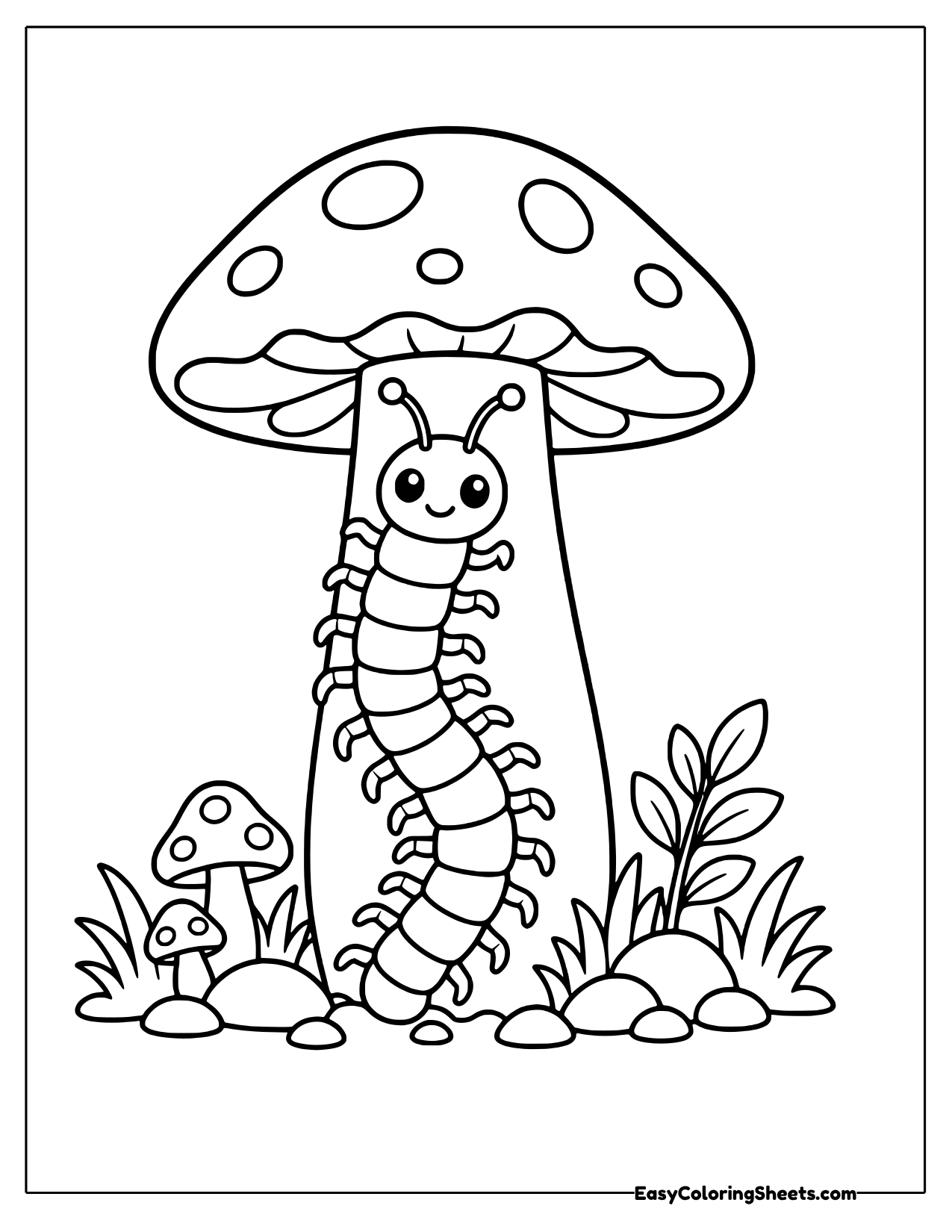 Centipede under a big spotted mushroom