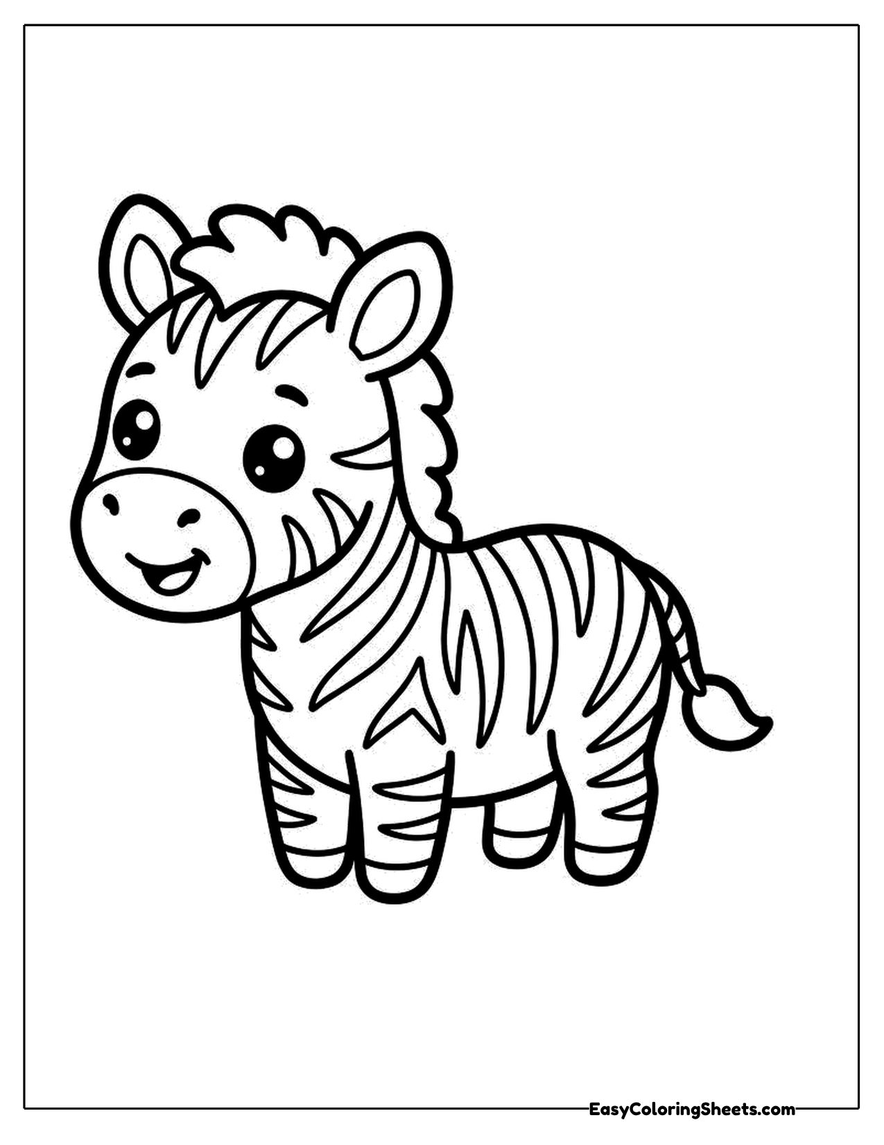 Cute zebra standing