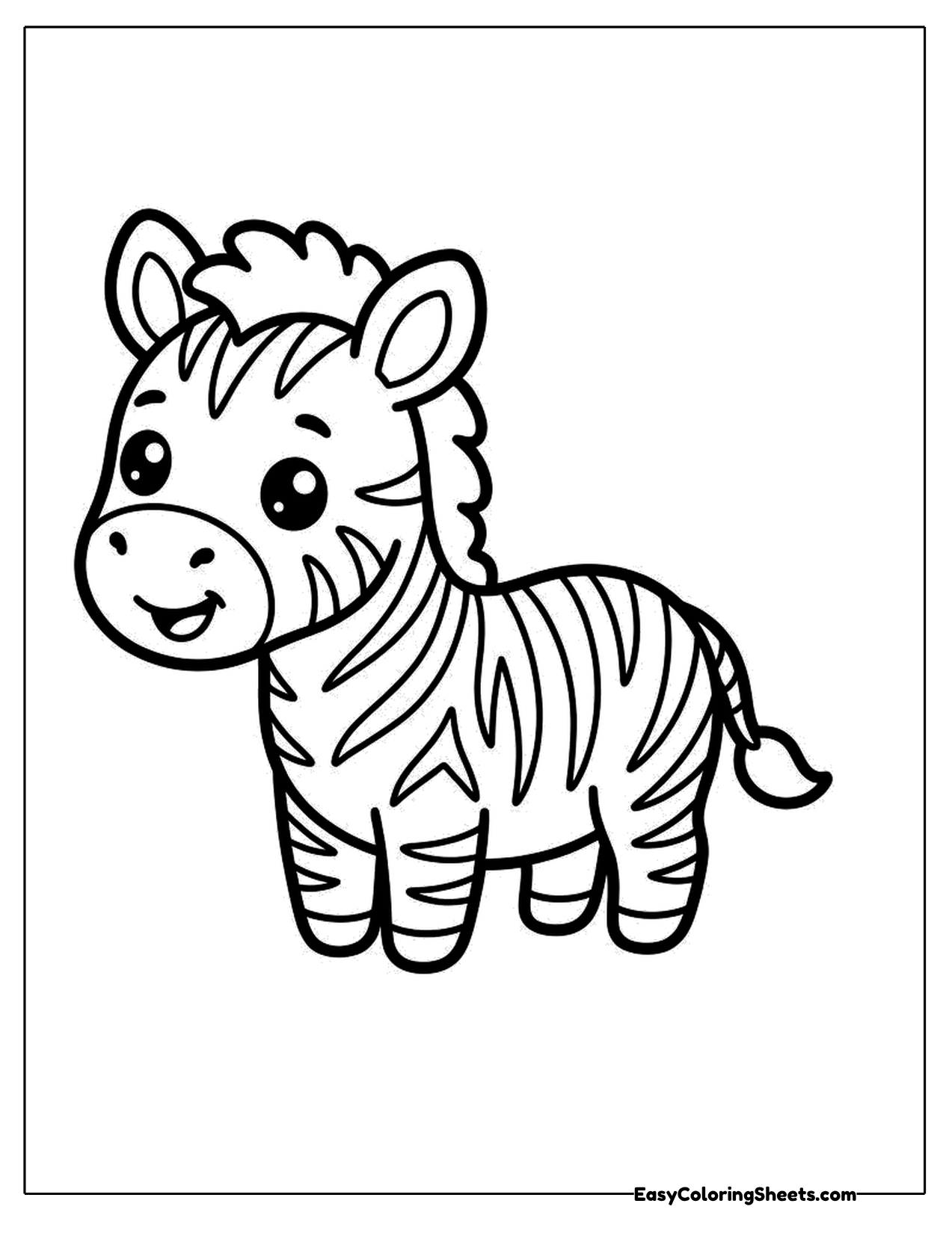 Cute zebra standing