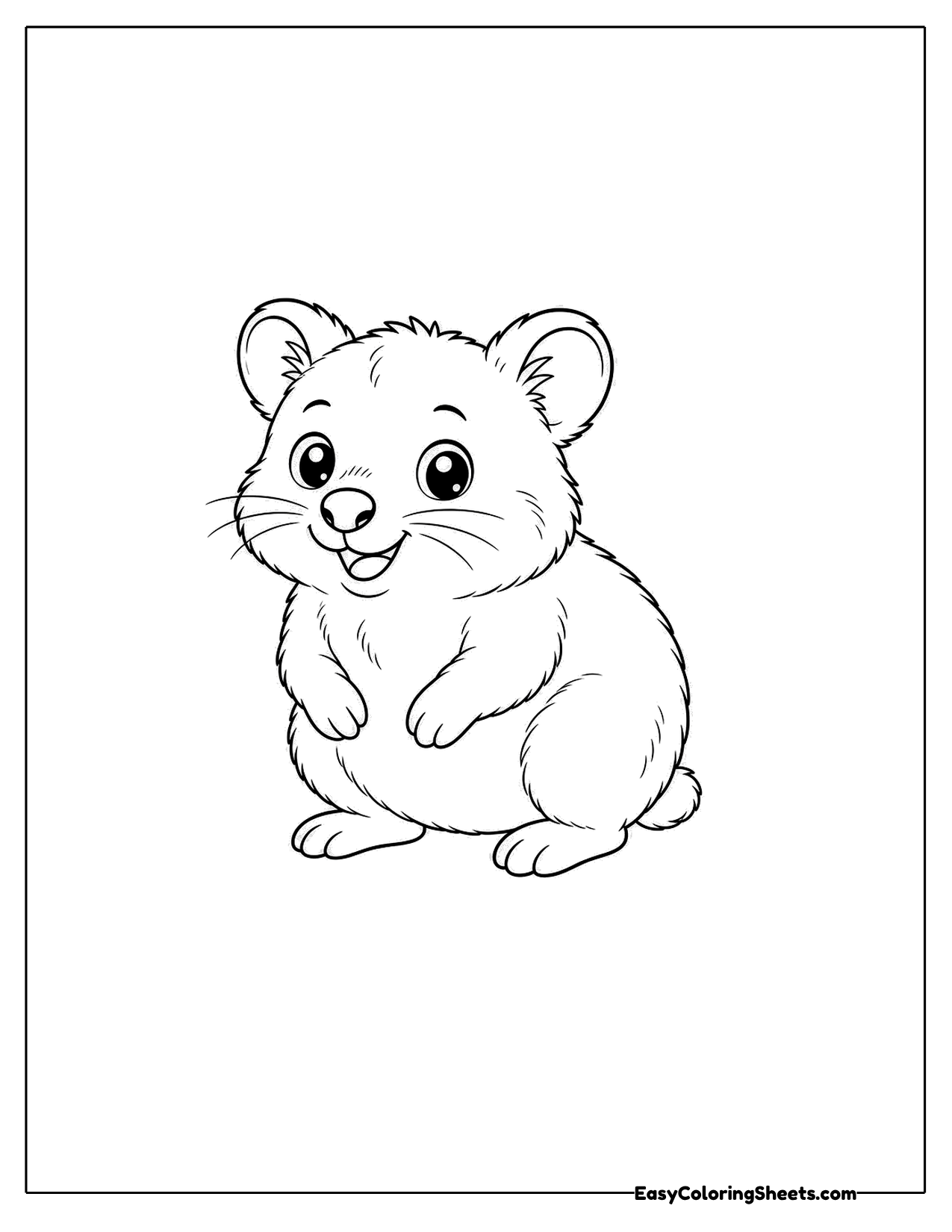 Quokka in a three quarter view