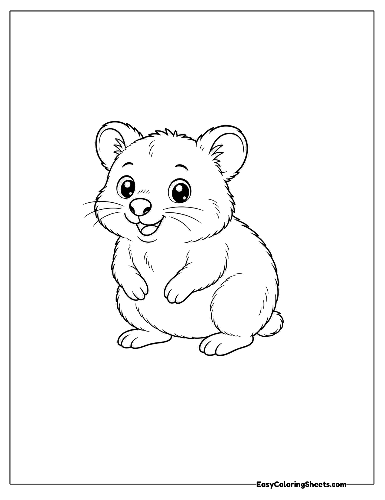 Quokka in a three quarter view