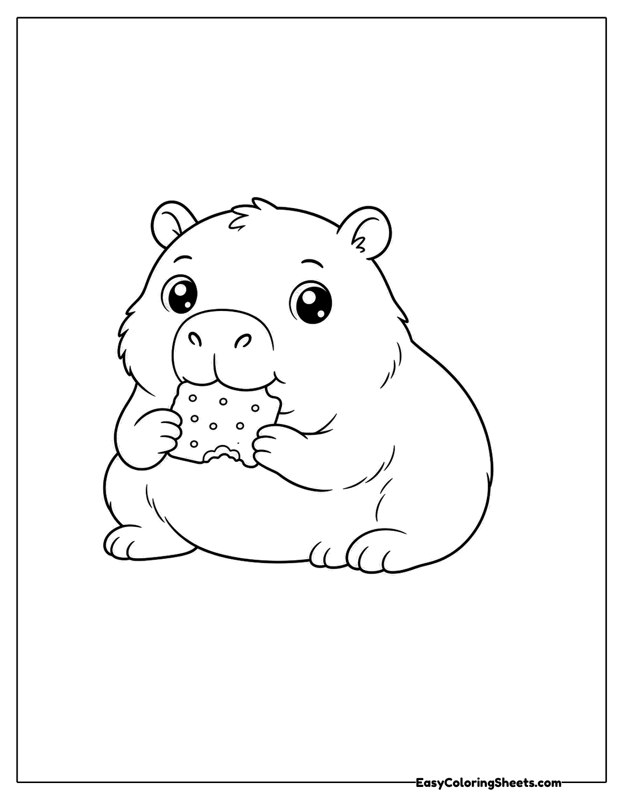 A chubby capybara sits holding a round cookie dotted with chips up to its mouth.