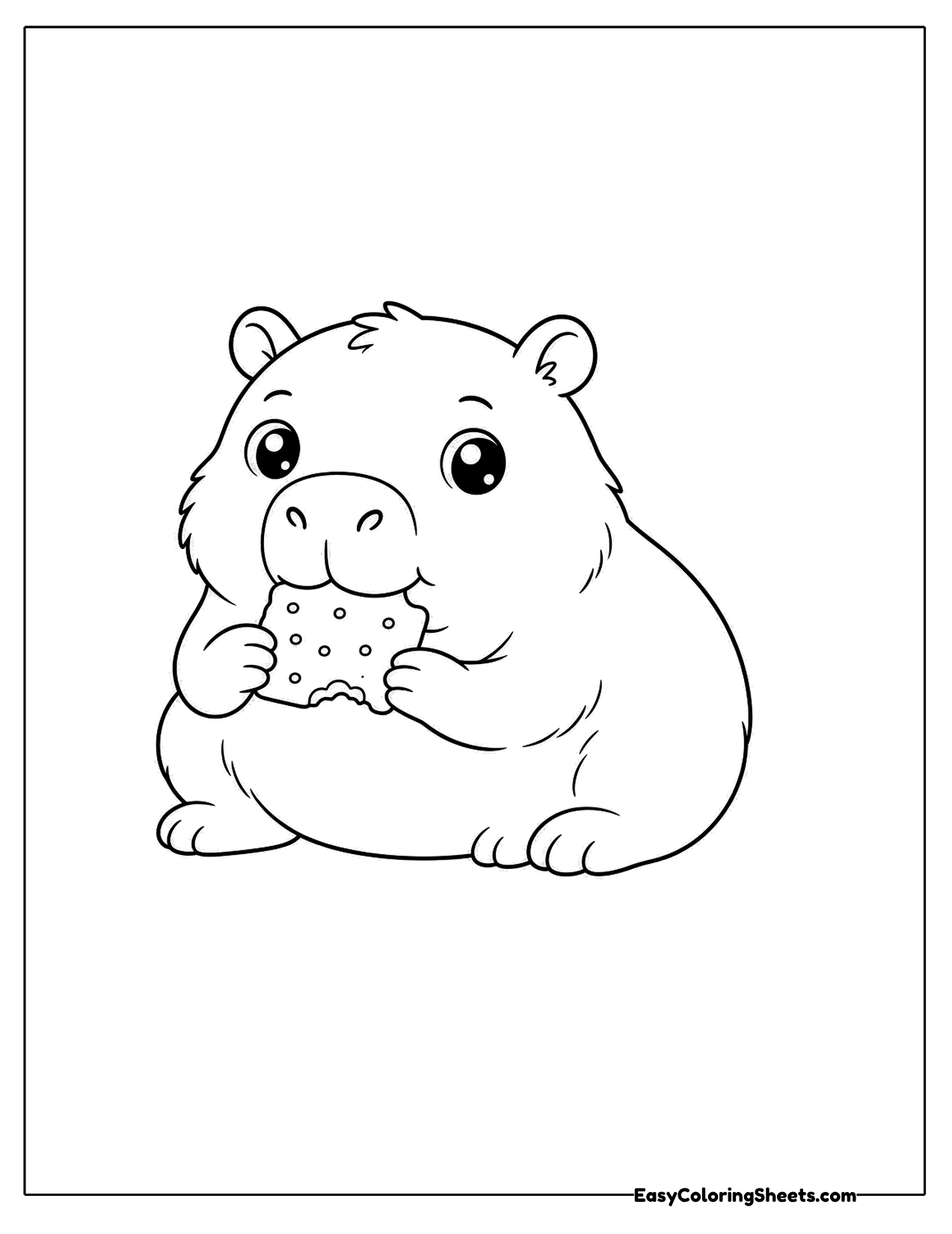 Capybara munching a cookie