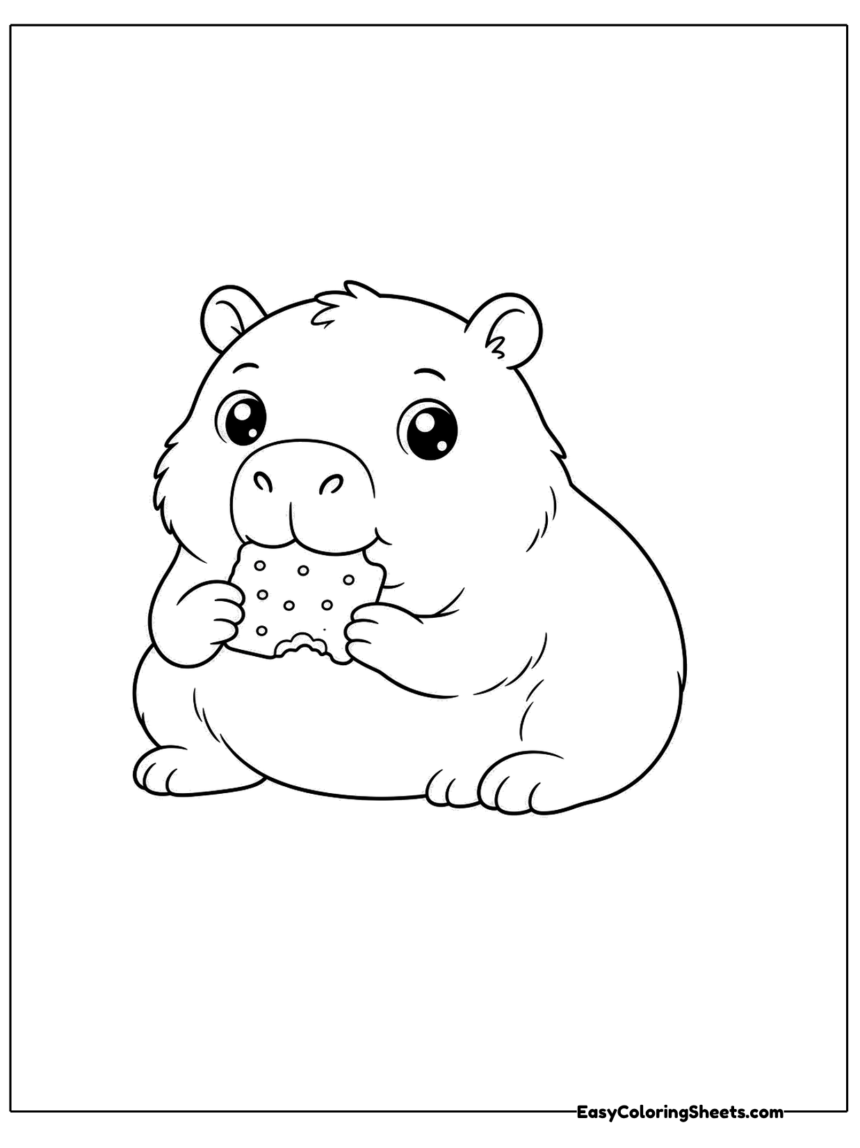 A chubby capybara sits holding a round cookie dotted with chips up to its mouth.