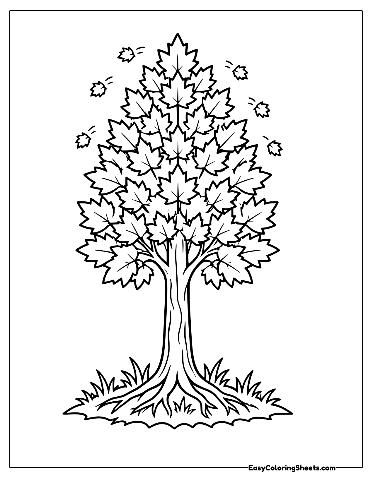Tall maple tree full of leaves