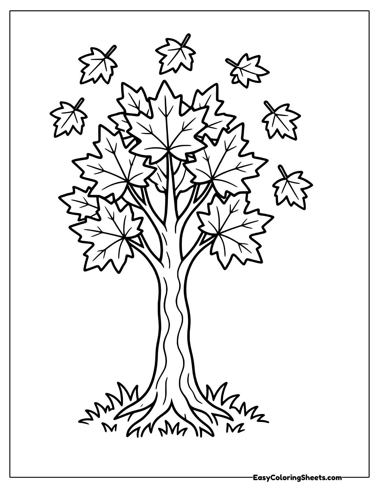 Autumn maple tree with falling leaves