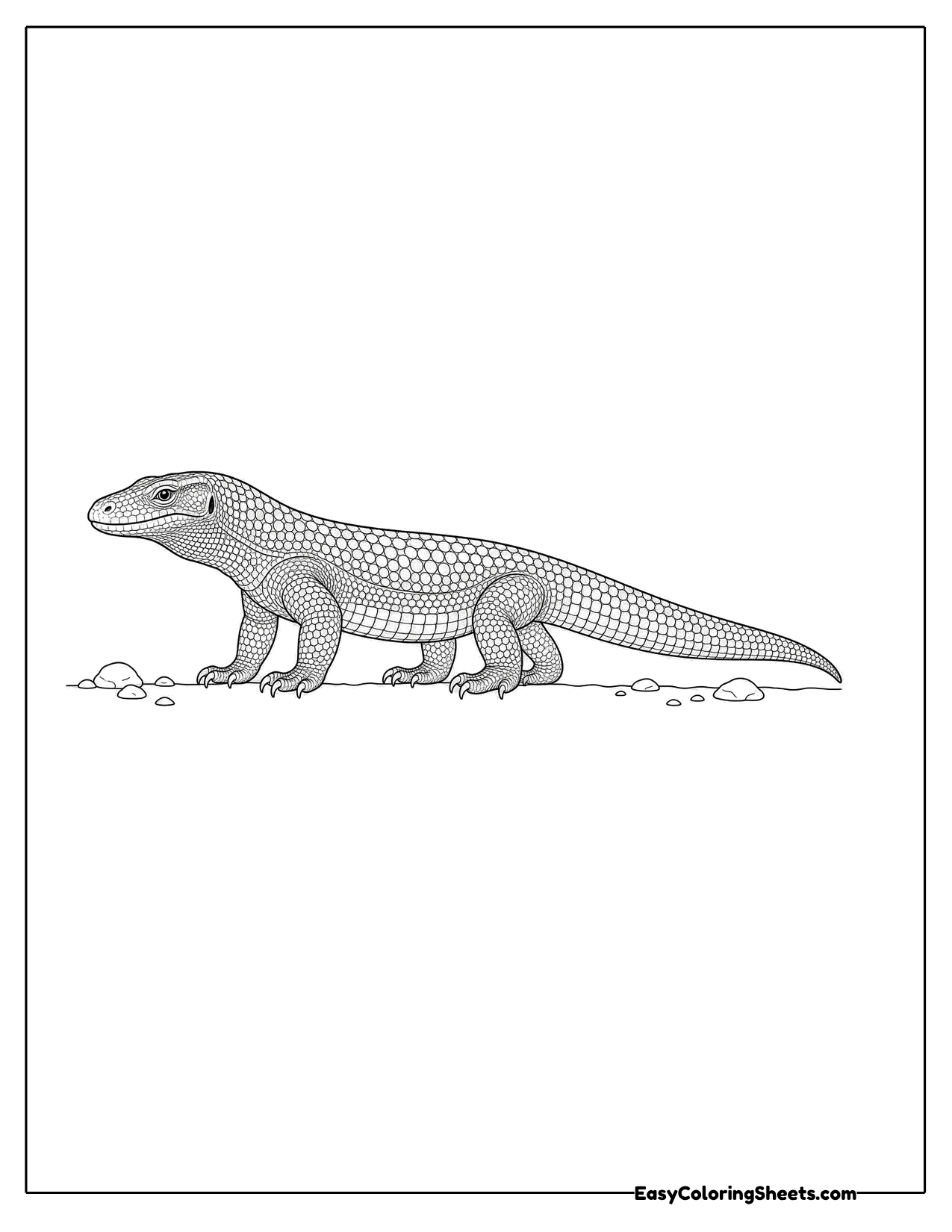 Komodo dragon in side view