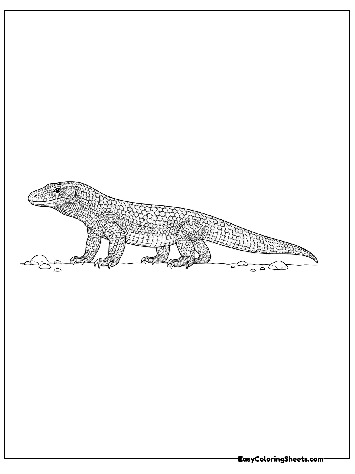 A Komodo dragon walks in profile, showing its long body, strong legs and thick tail.