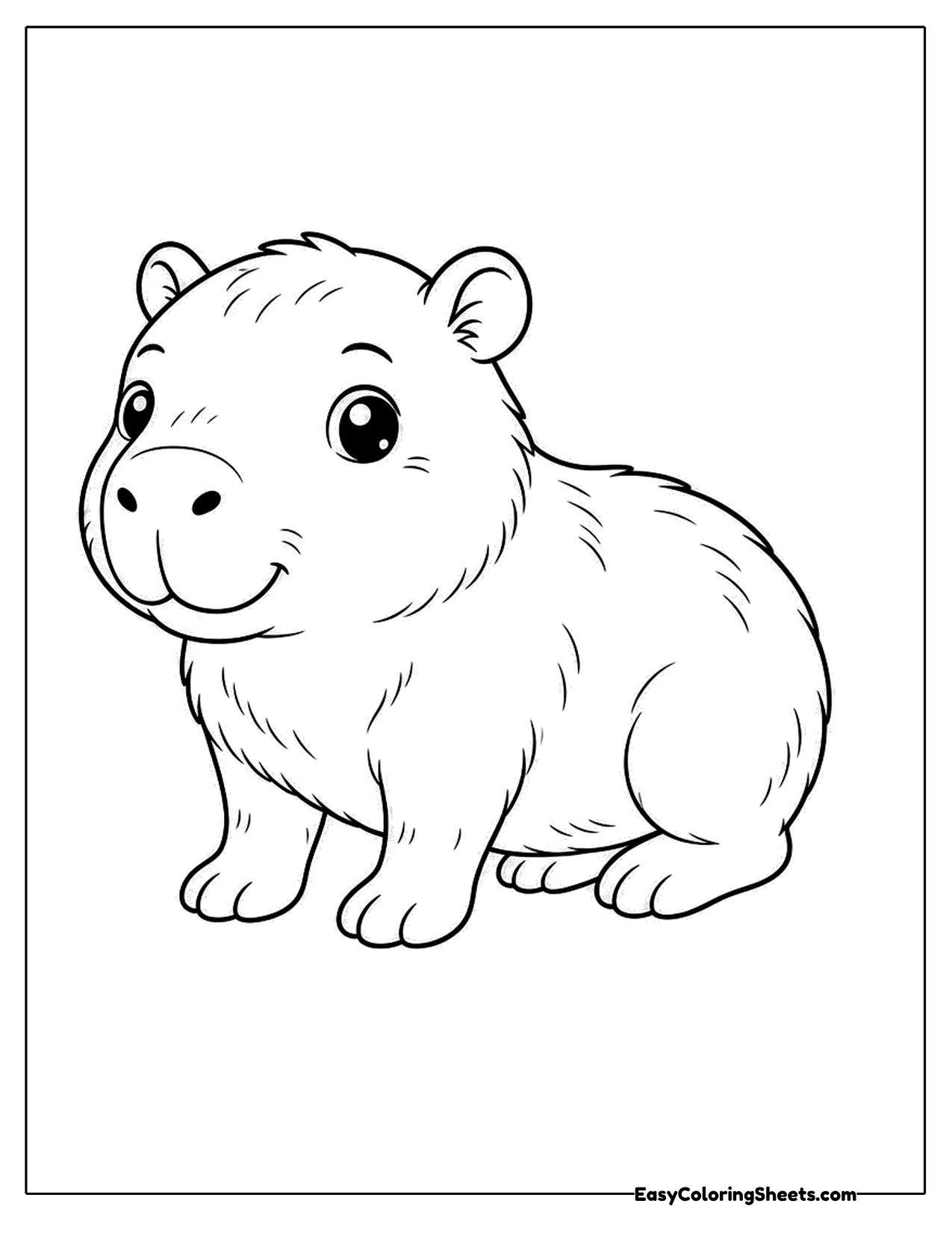 Baby capybara standing on four legs