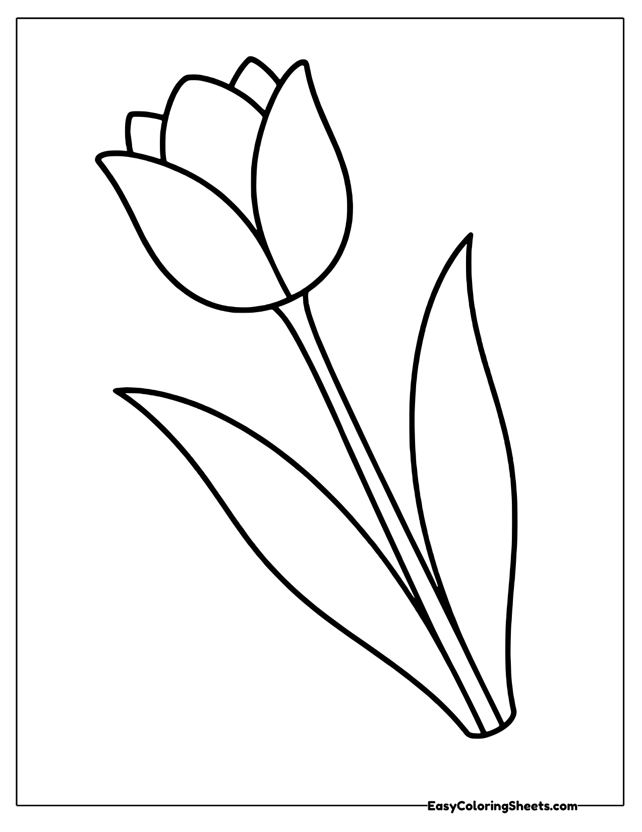 Single tulip on a long, slender stem