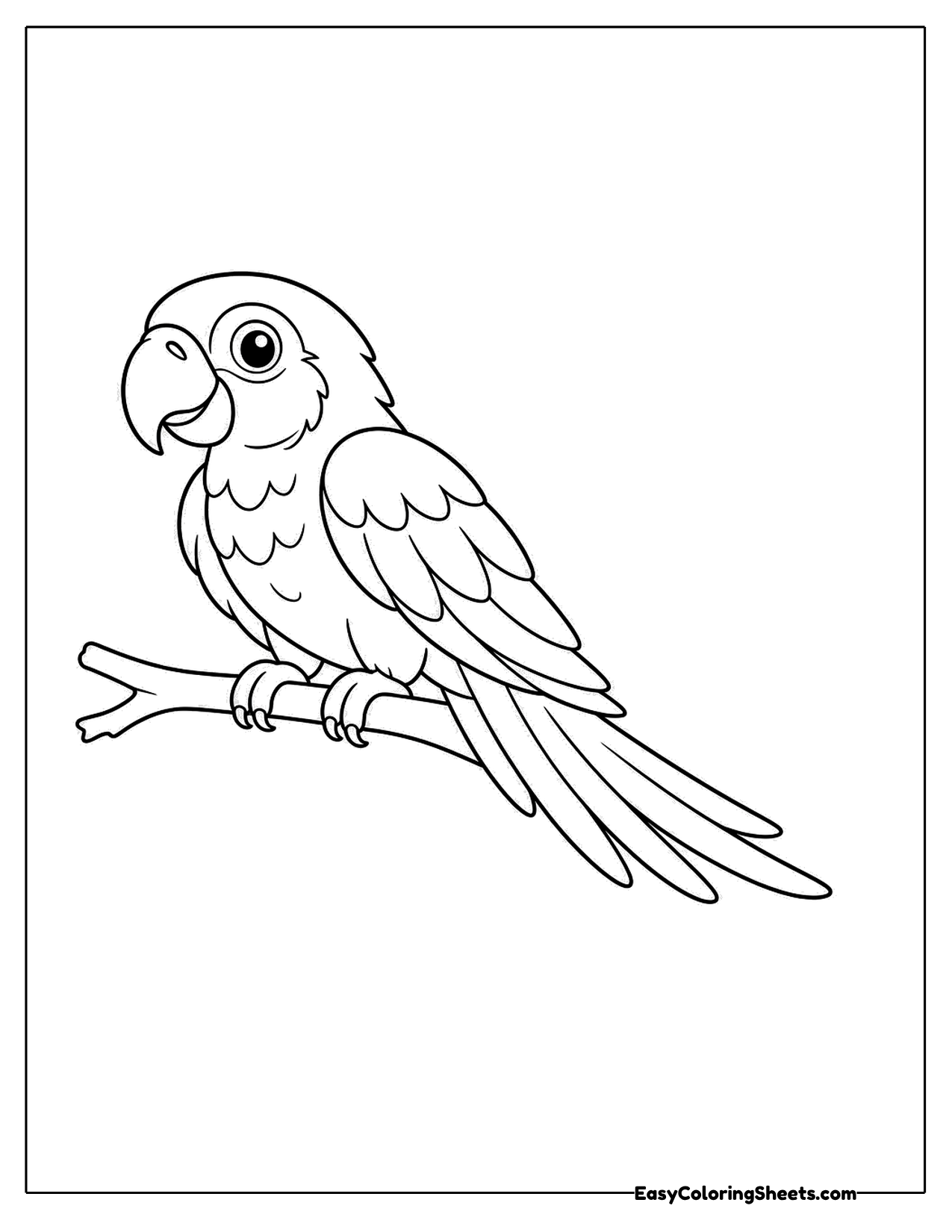 Cute macaw perched on a branch in profile