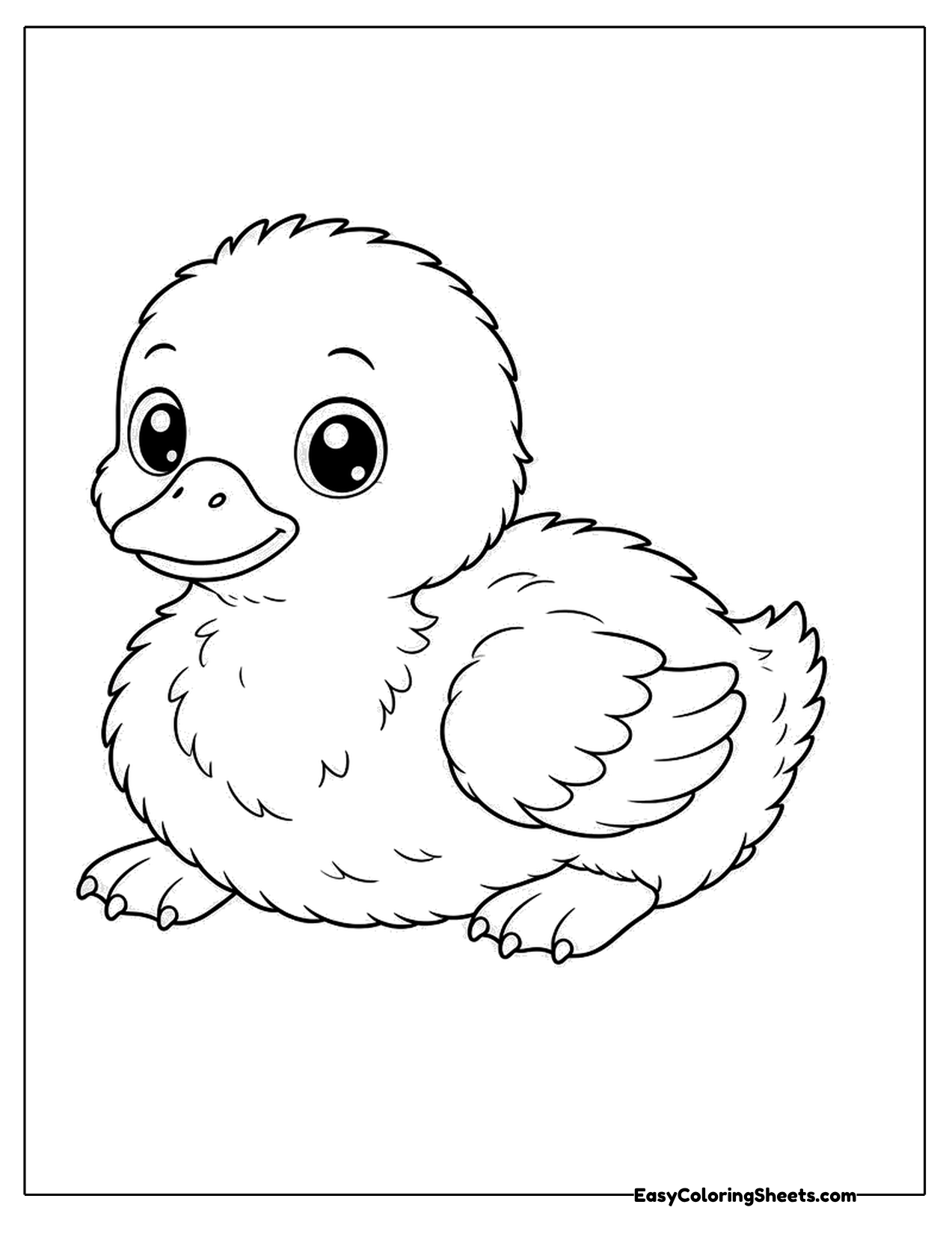 Fluffy baby duckling resting