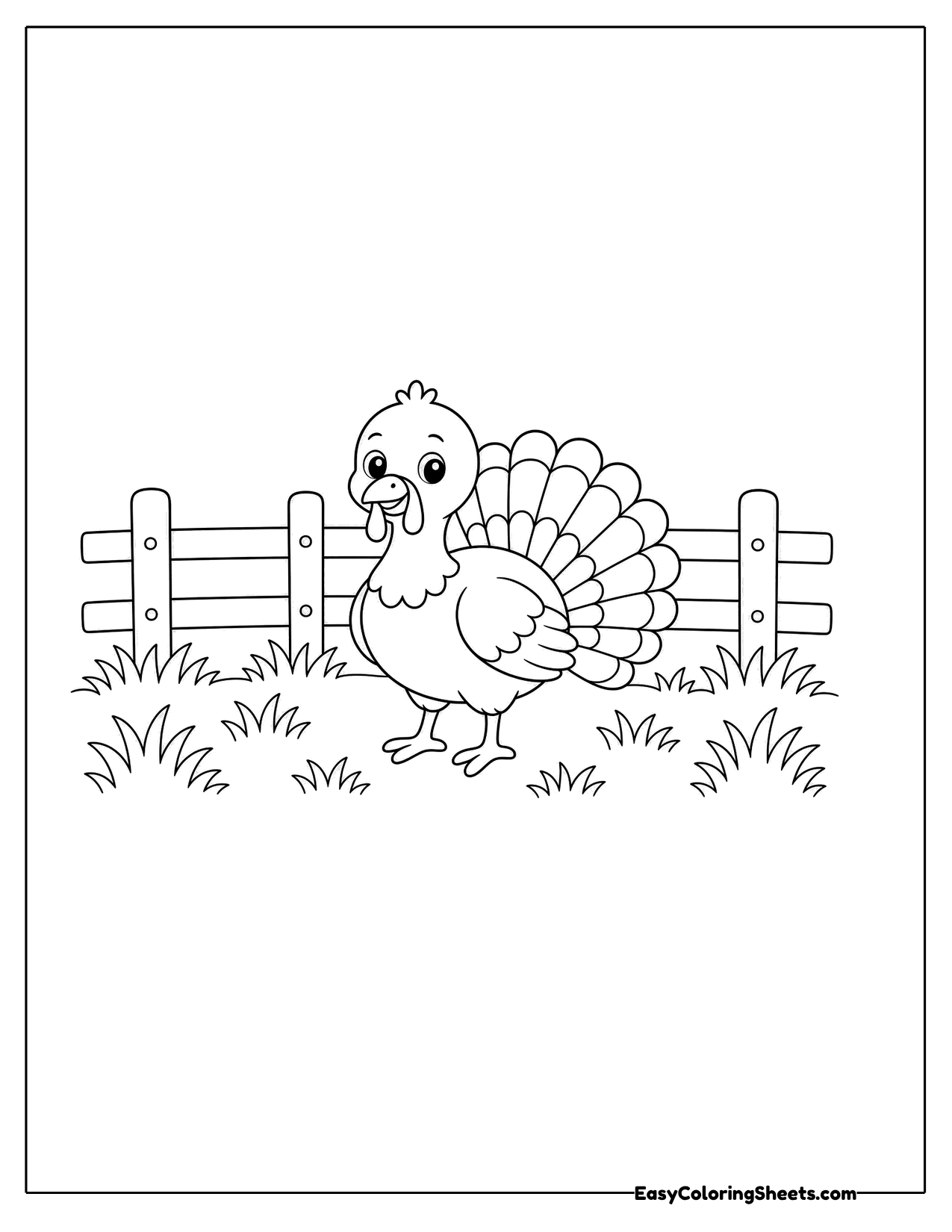Small turkey near a farm fence