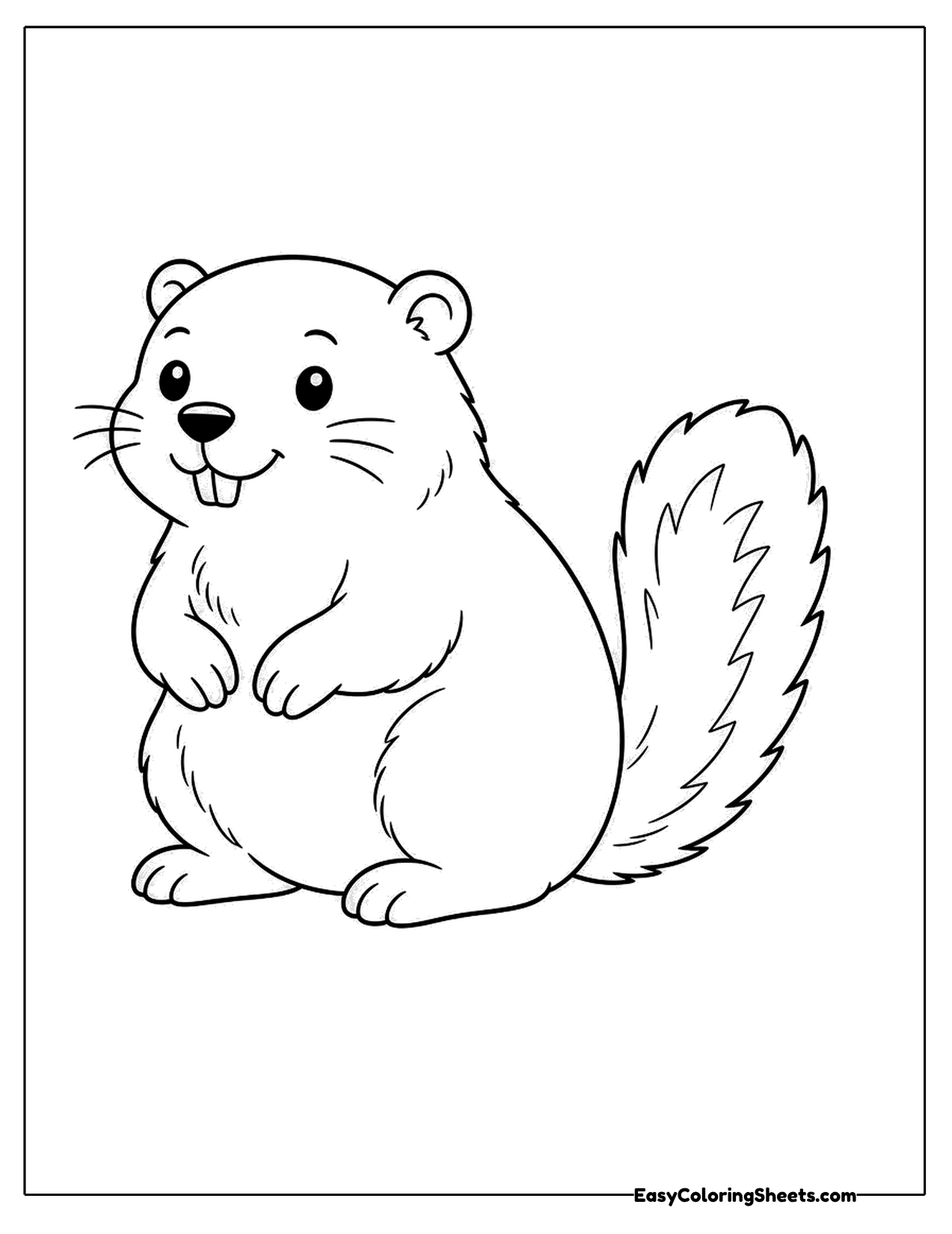 Groundhog sitting upright showing its front teeth