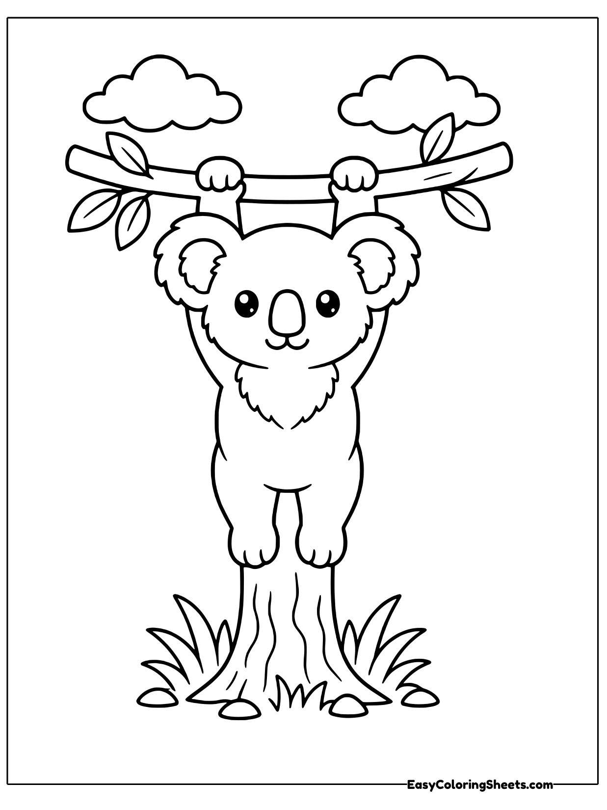 A koala dangles from a horizontal branch with both arms stretched up while leaves hang nearby.