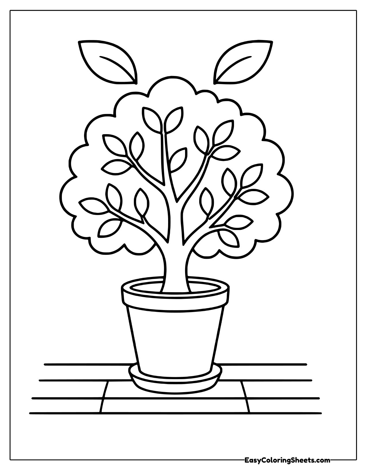 Small tree growing in a tall pot