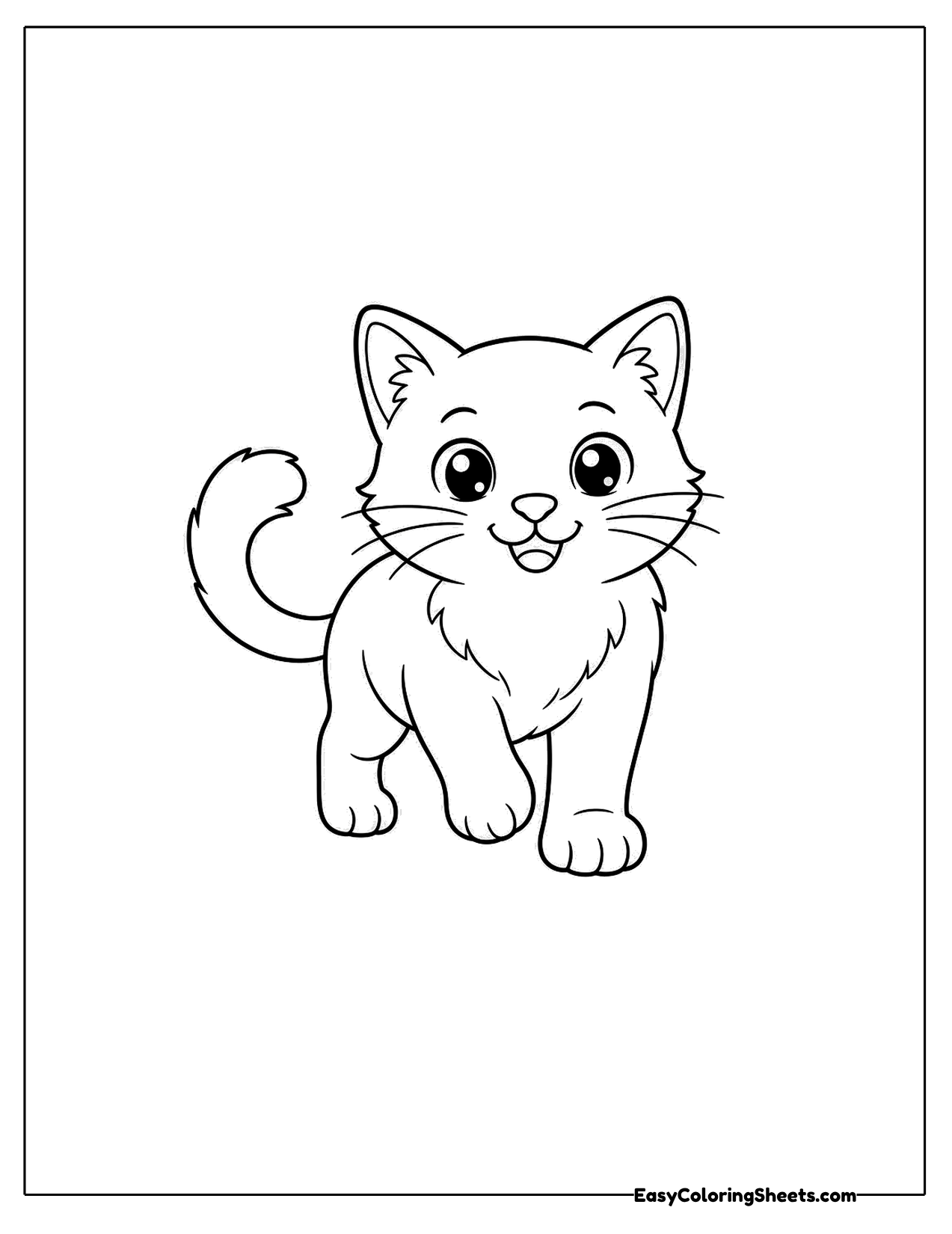 Kitten walking forward toward the viewer