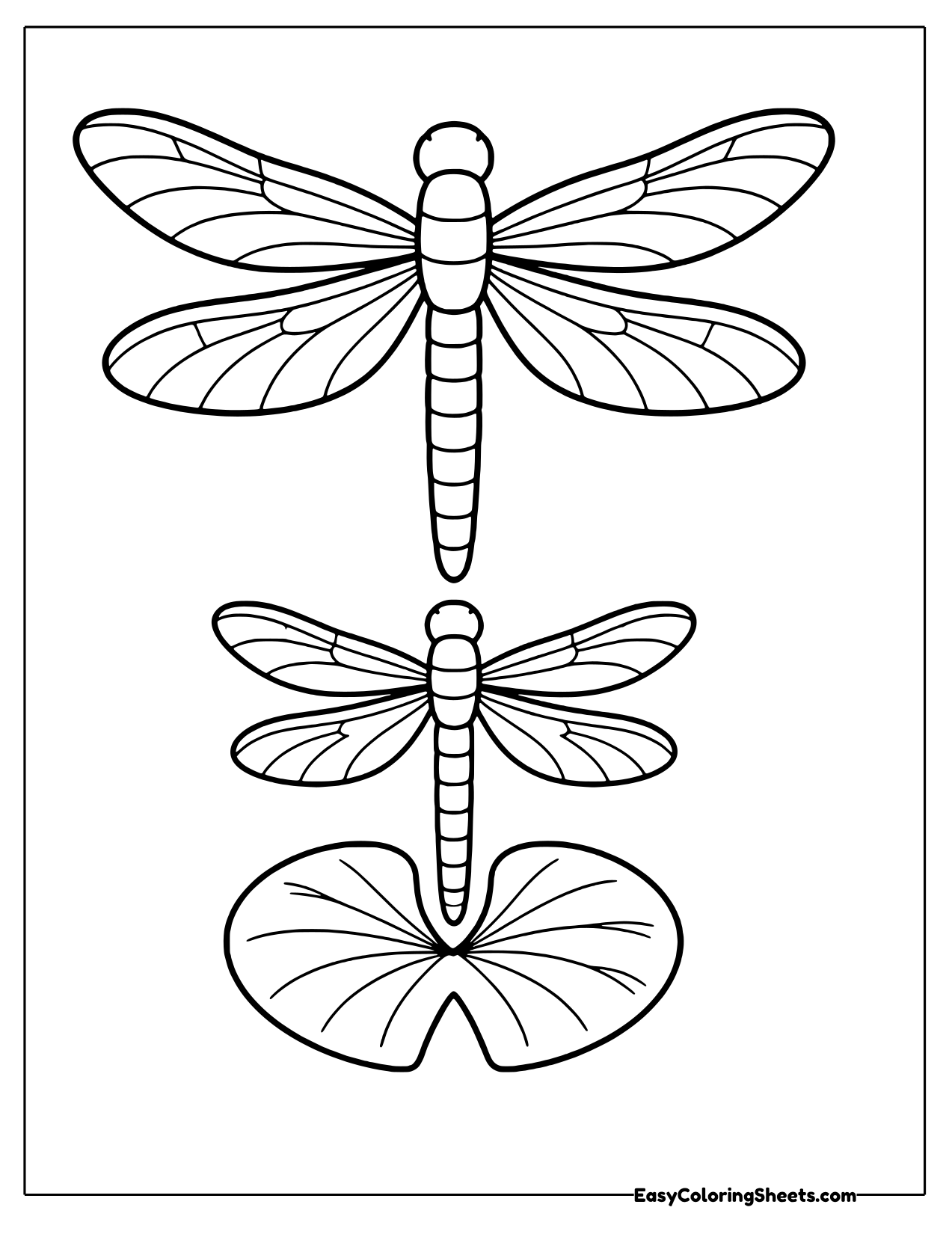 Two dragonflies above a pond lily pad