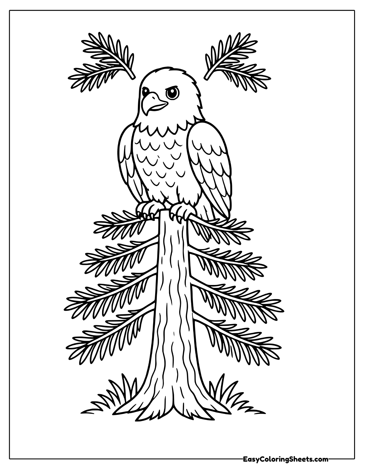 Bald eagle perched in a tall pine tree