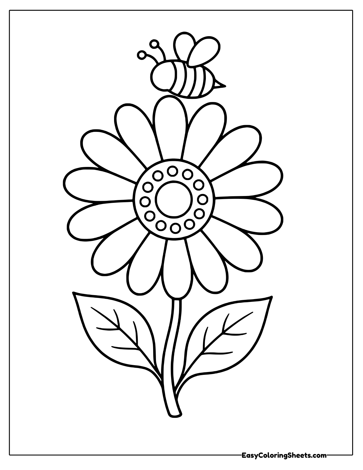 Daisy with a bee buzzing above