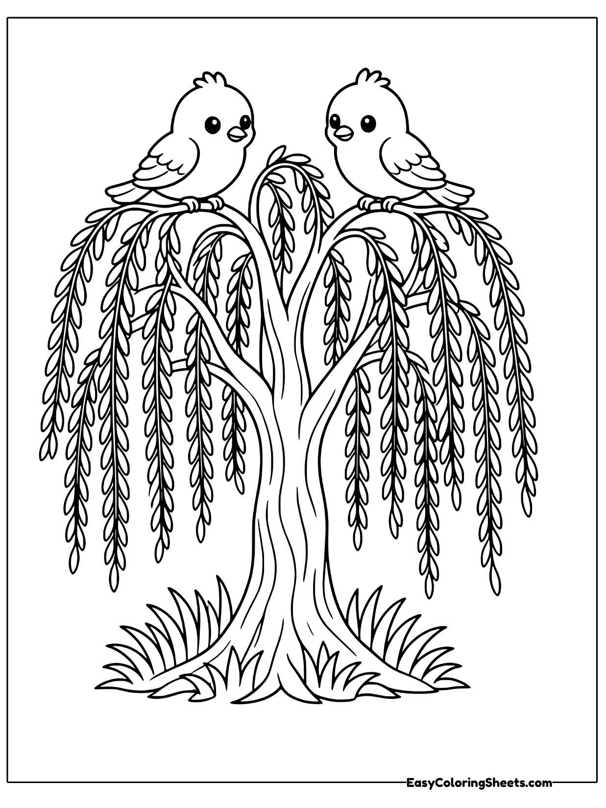 A weeping willow lets its long, drooping branches cascade nearly to the ground like a green curtain.