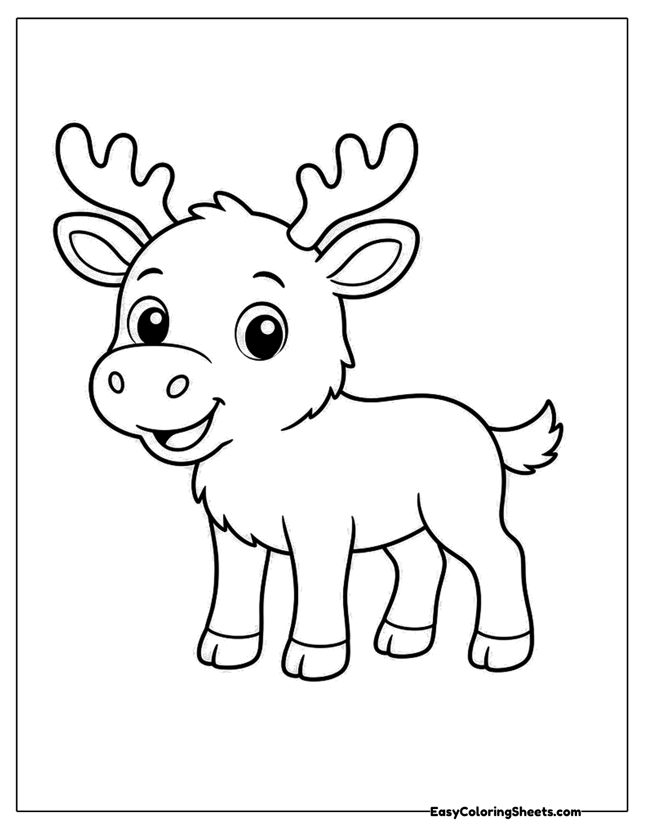 Cute moose walking with tufted chest fur