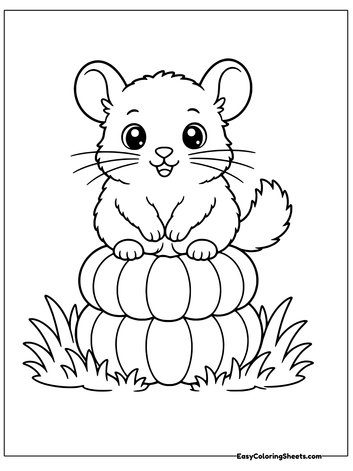 A round chinchilla perches on top of a pair of stacked pumpkins in the grass with its whiskers spread wide.