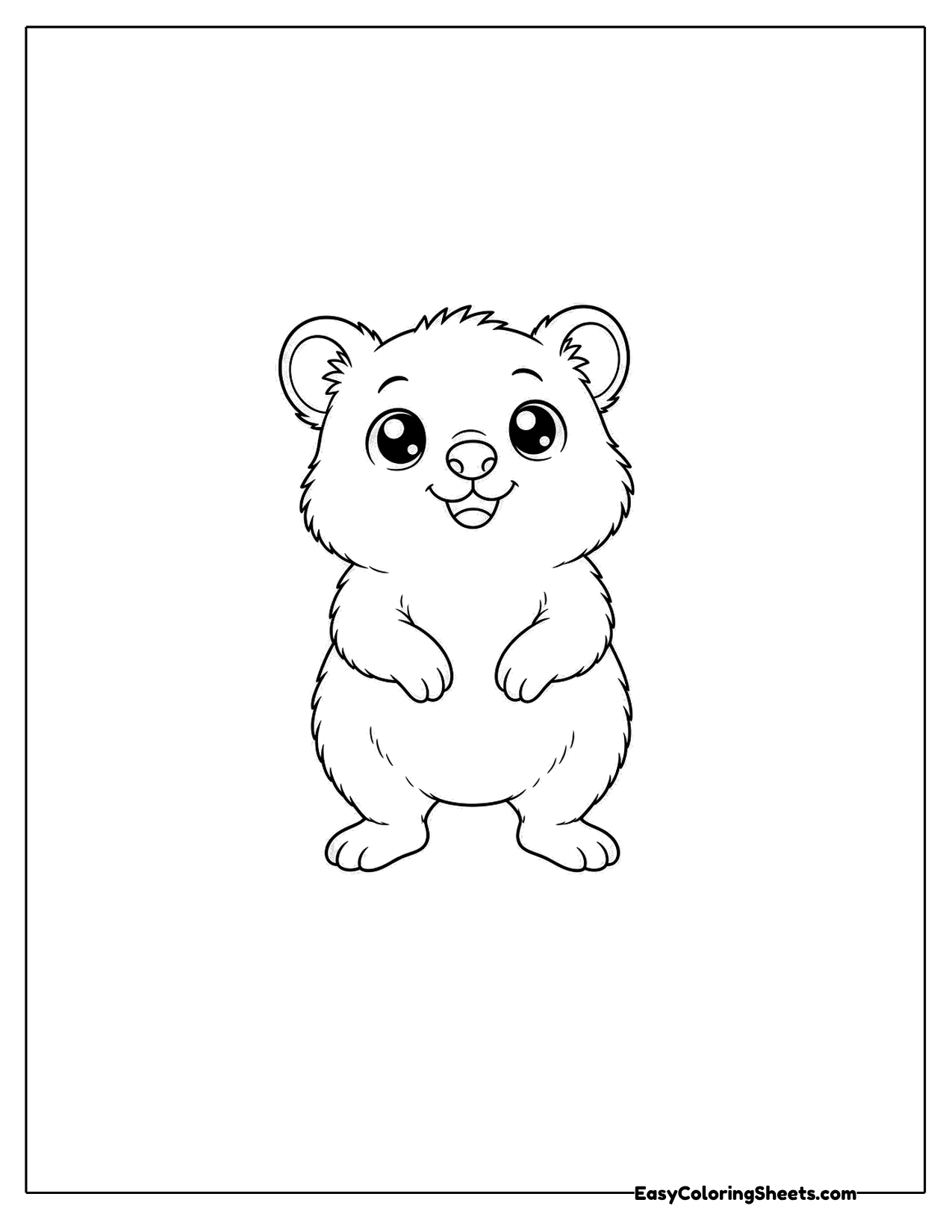 Quokka looking up with wide eyes