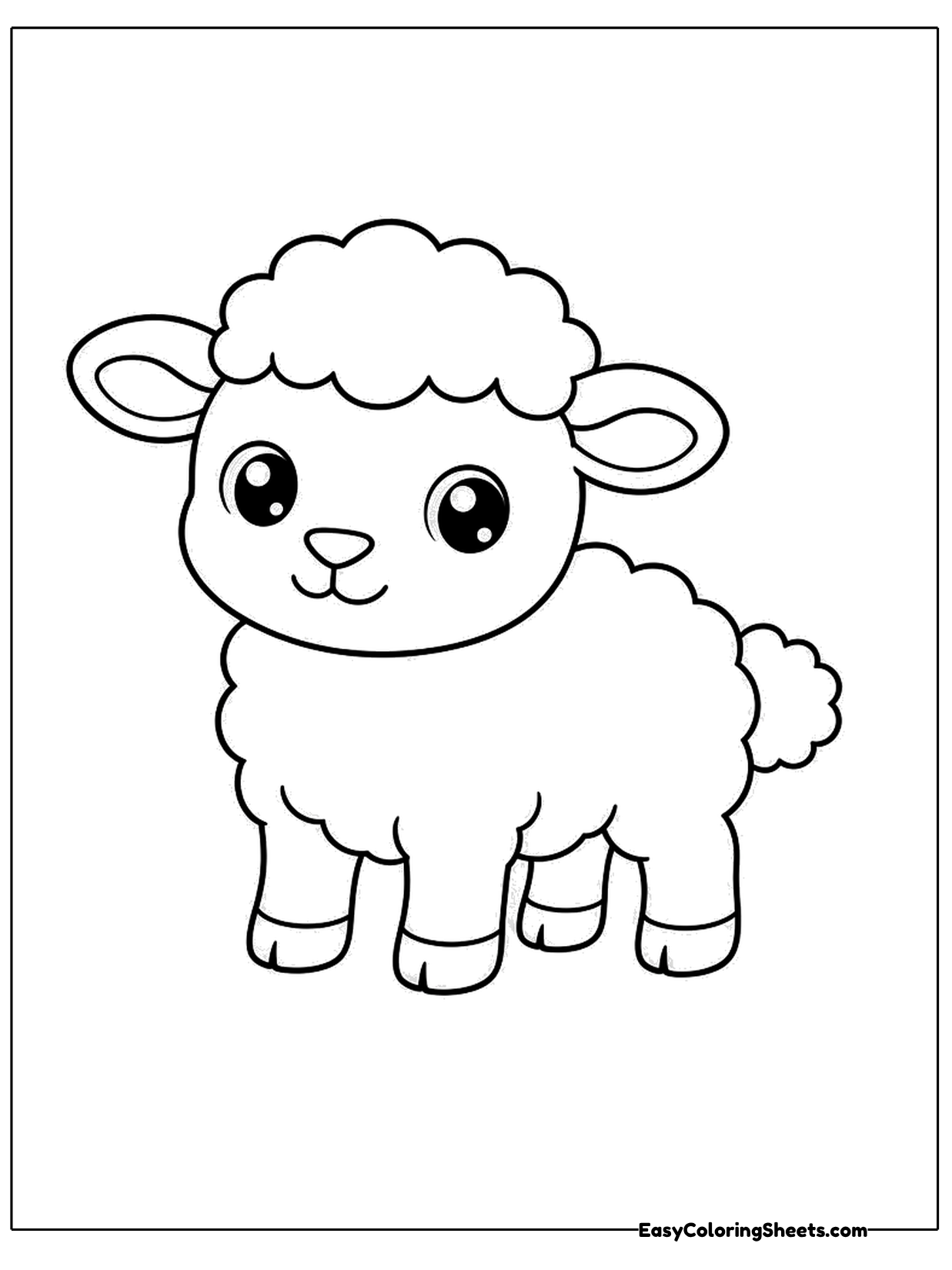 A sweet baby lamb stands on four sturdy legs with a fluffy cloud of curls covering its body.