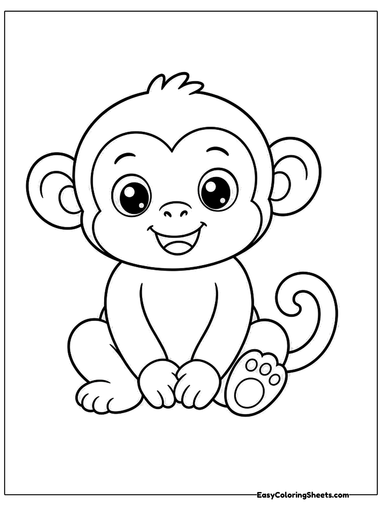 A cute baby monkey sits with its hands on its knees, big shiny eyes and a curly tail.