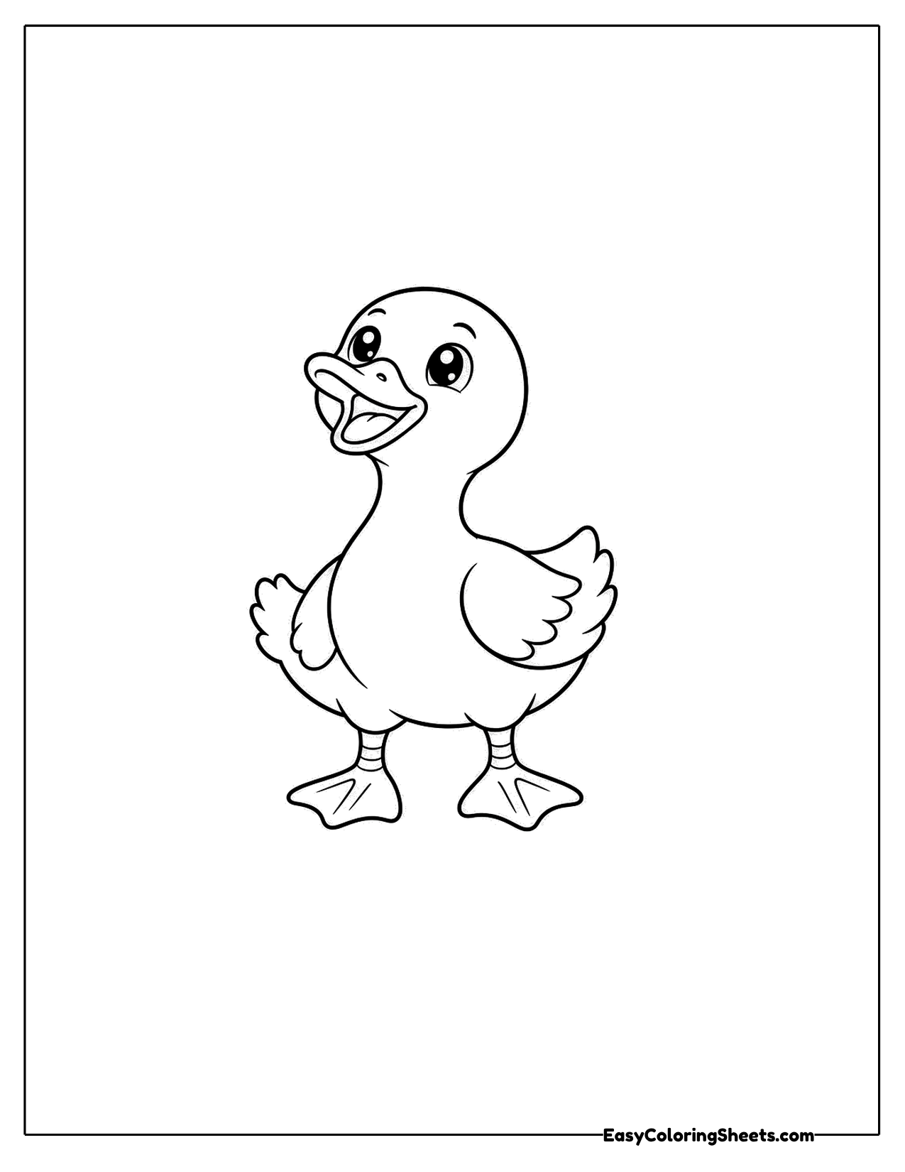Duck looking up