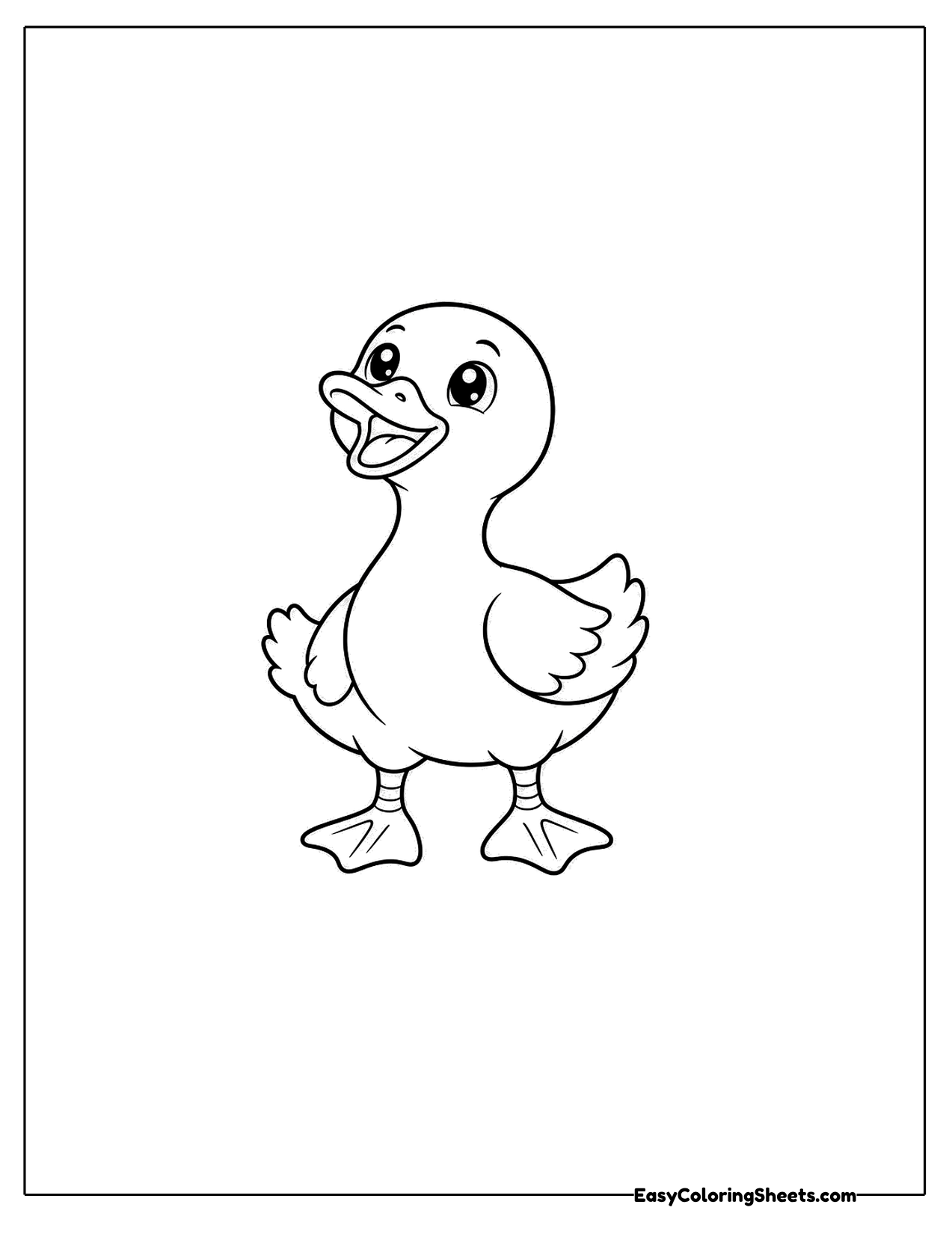 Duck looking up