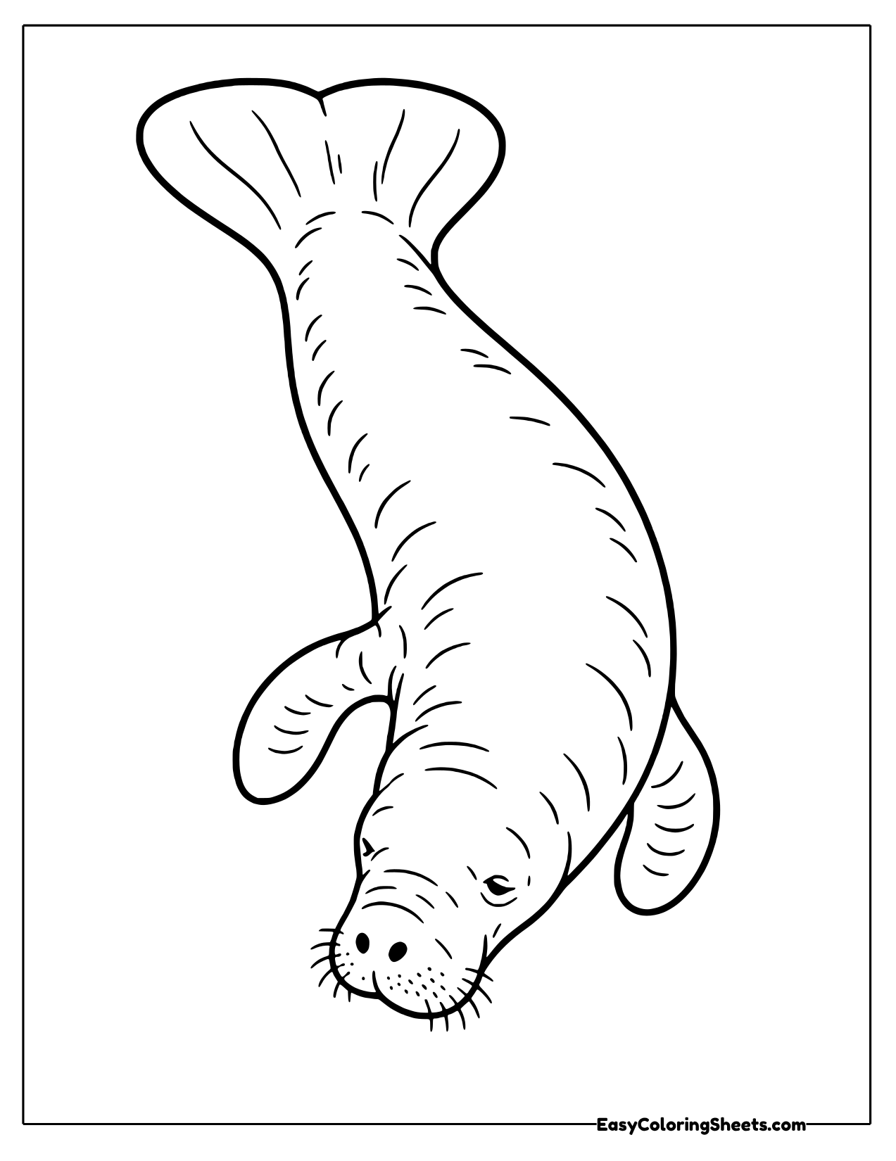 Manatee diving in an S-shaped curve