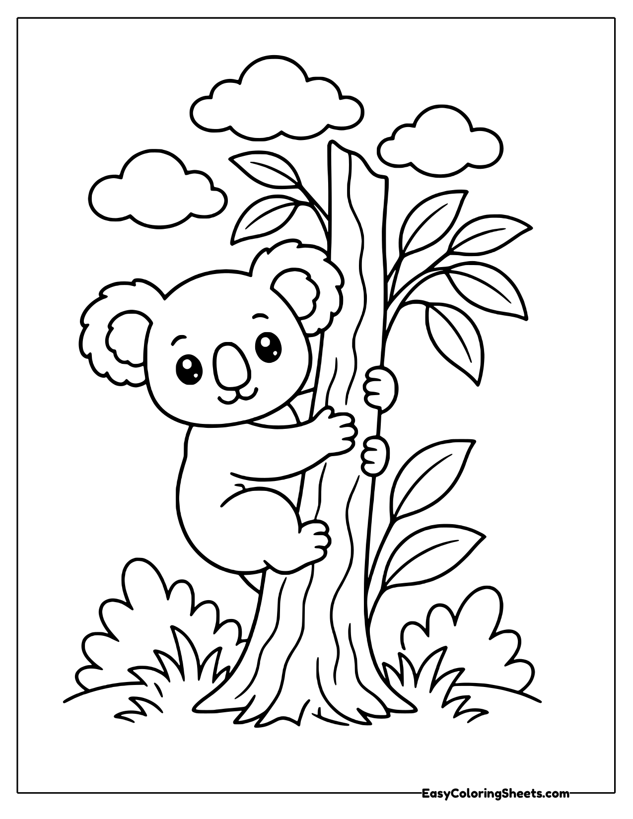 Koala climbing a eucalyptus trunk