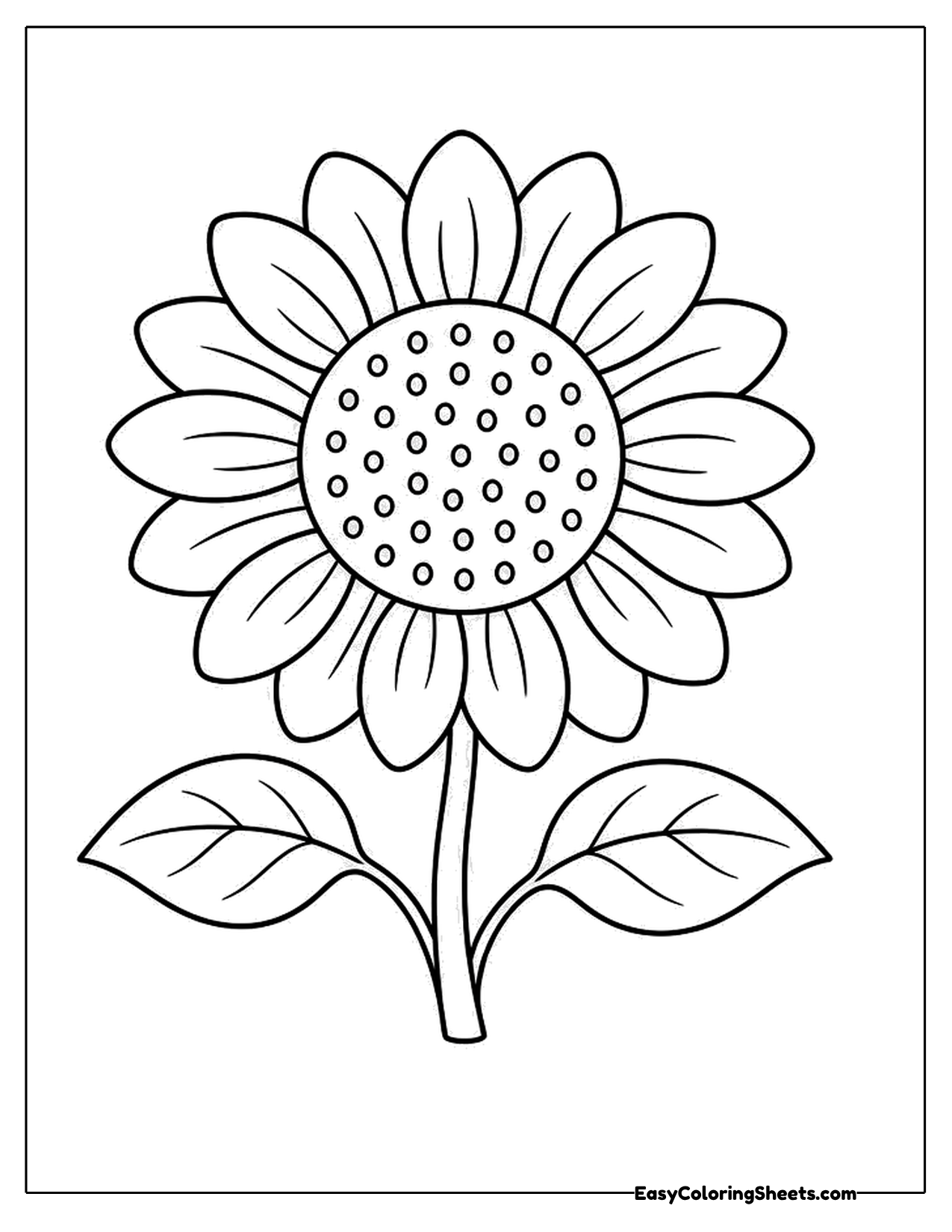 Cute sunflower with a seed center