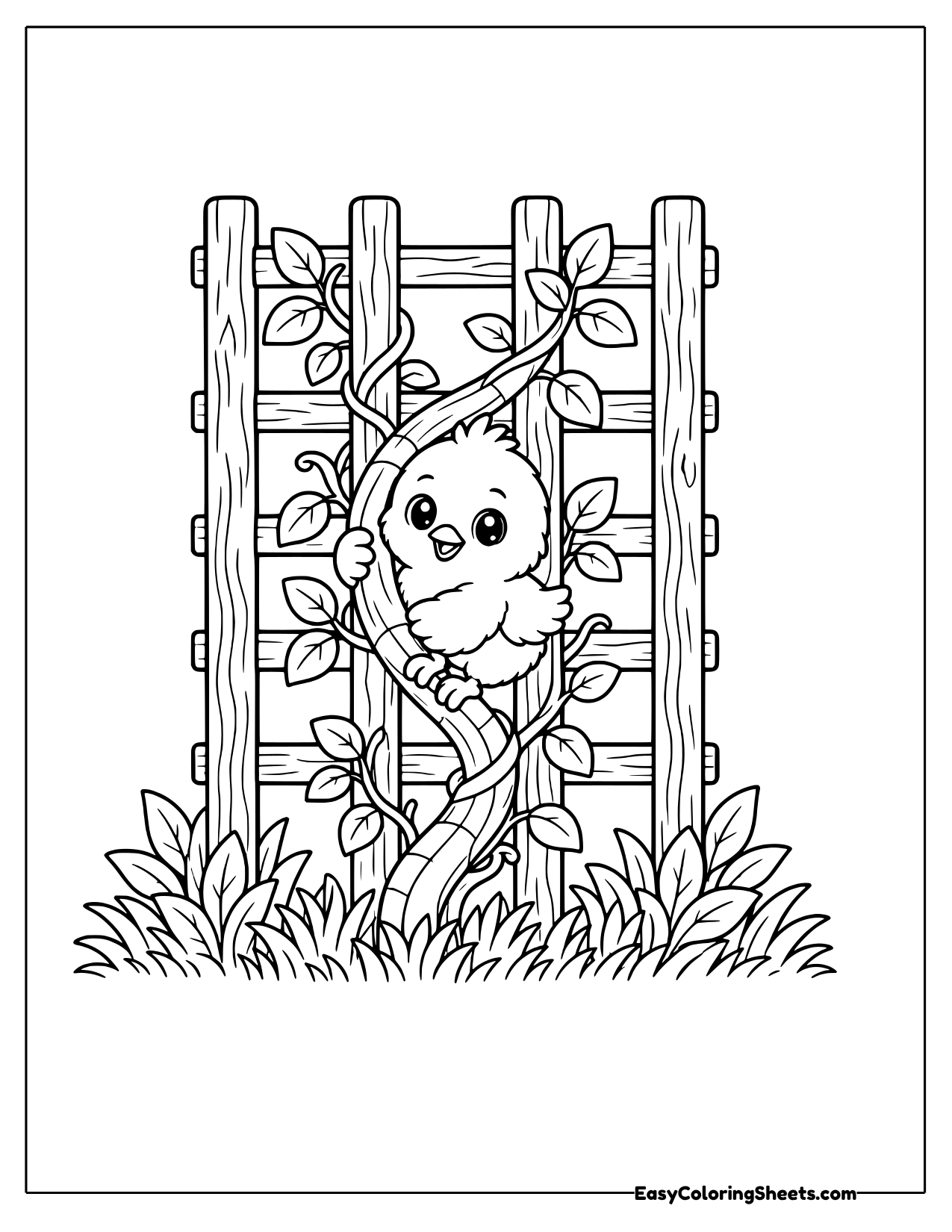 Chick hiding in a vine covered trellis