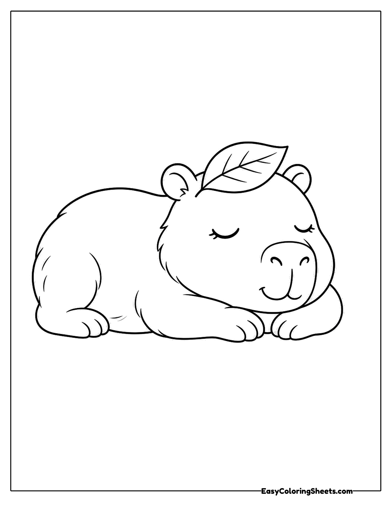 Sleepy capybara relaxing with a leaf on its head