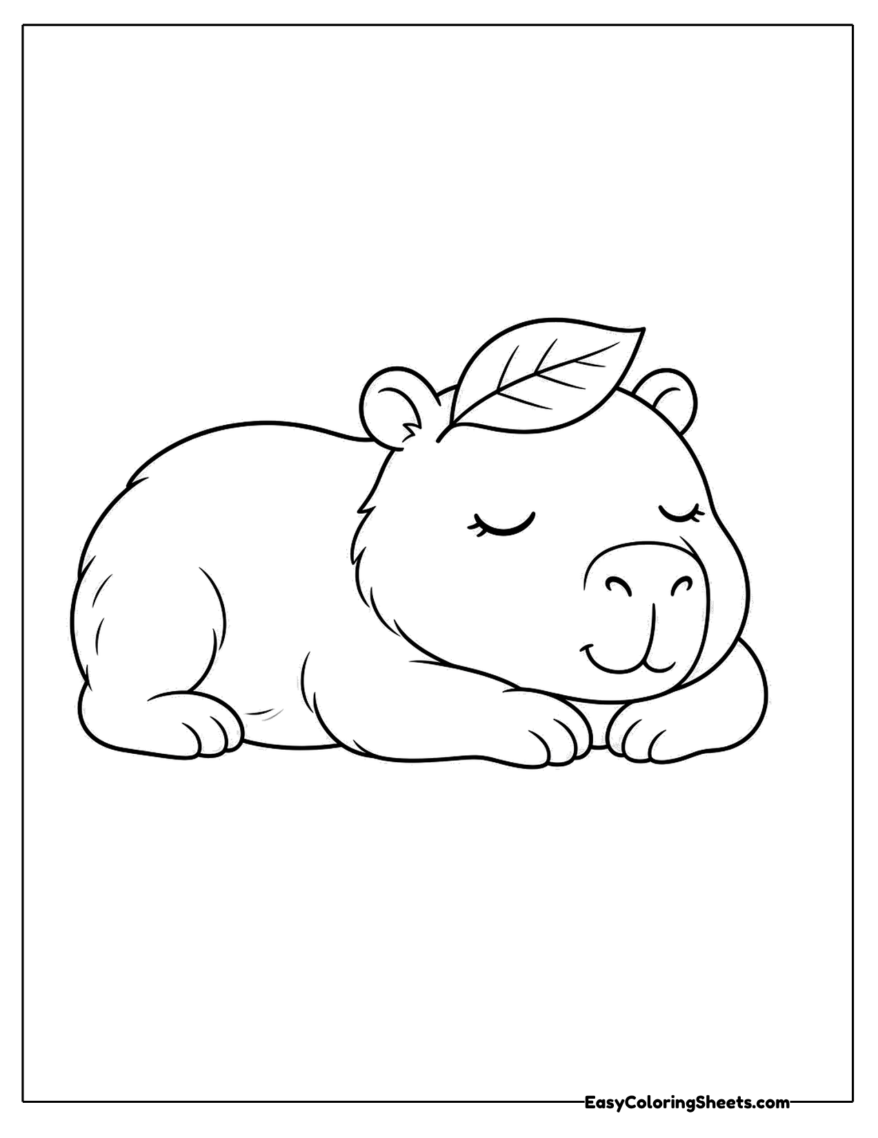 Sleepy capybara relaxing with a leaf on its head